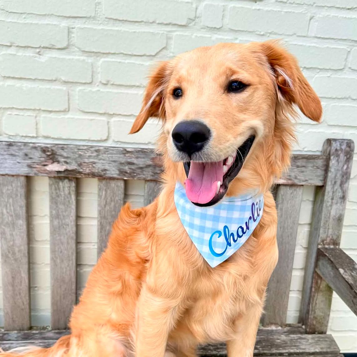 Charlie