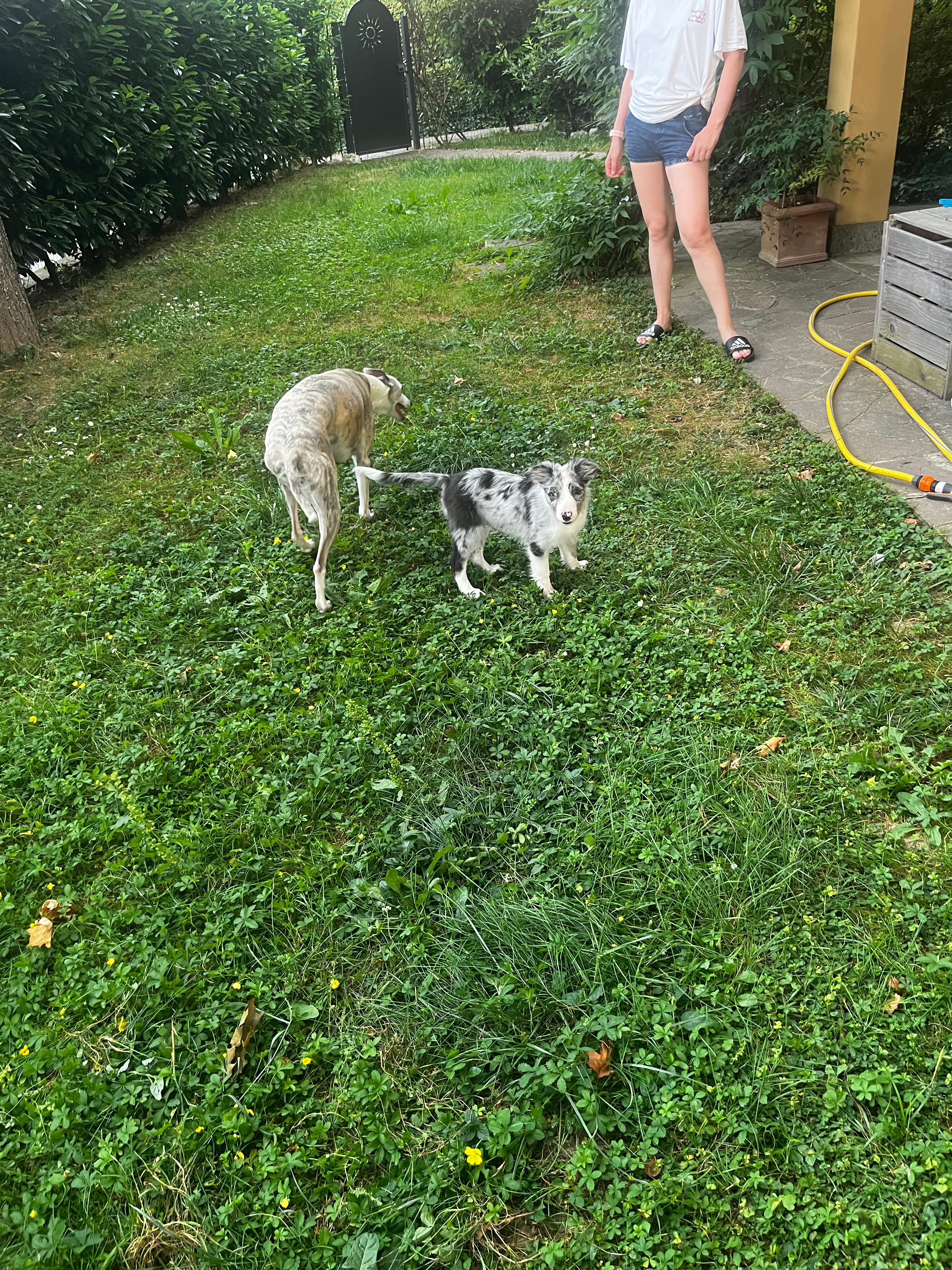 image-13