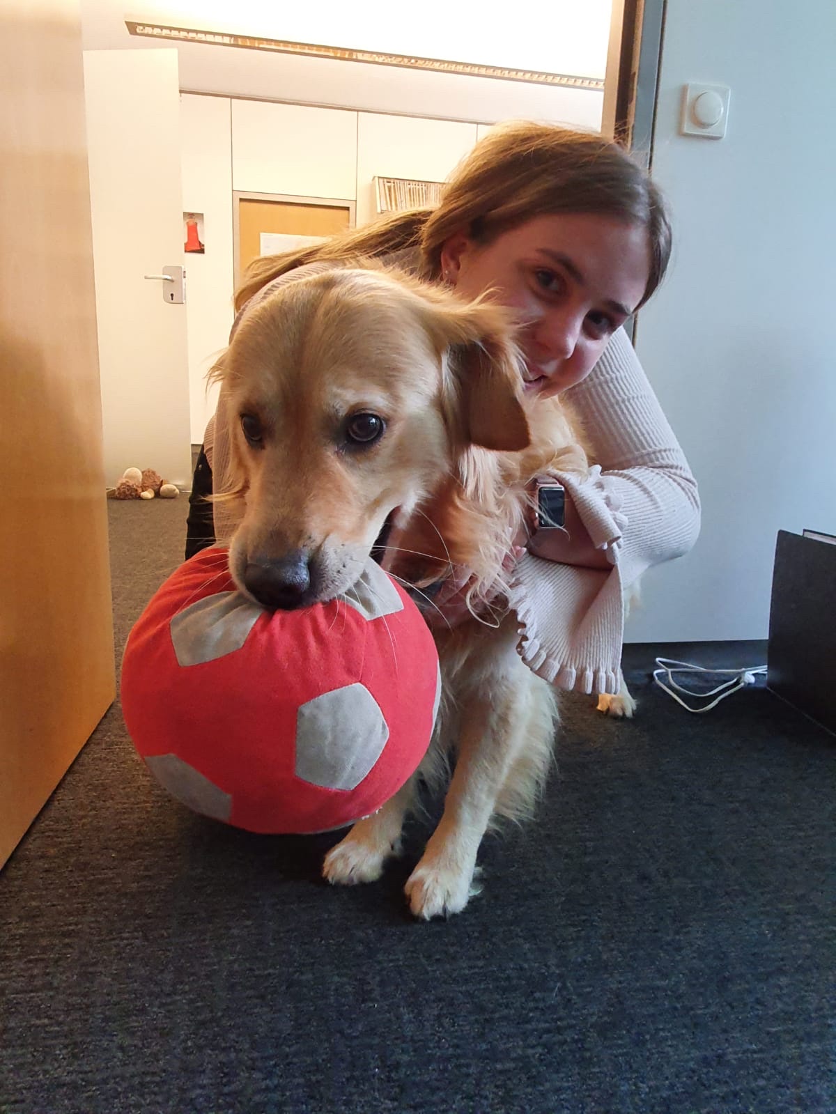 image-4