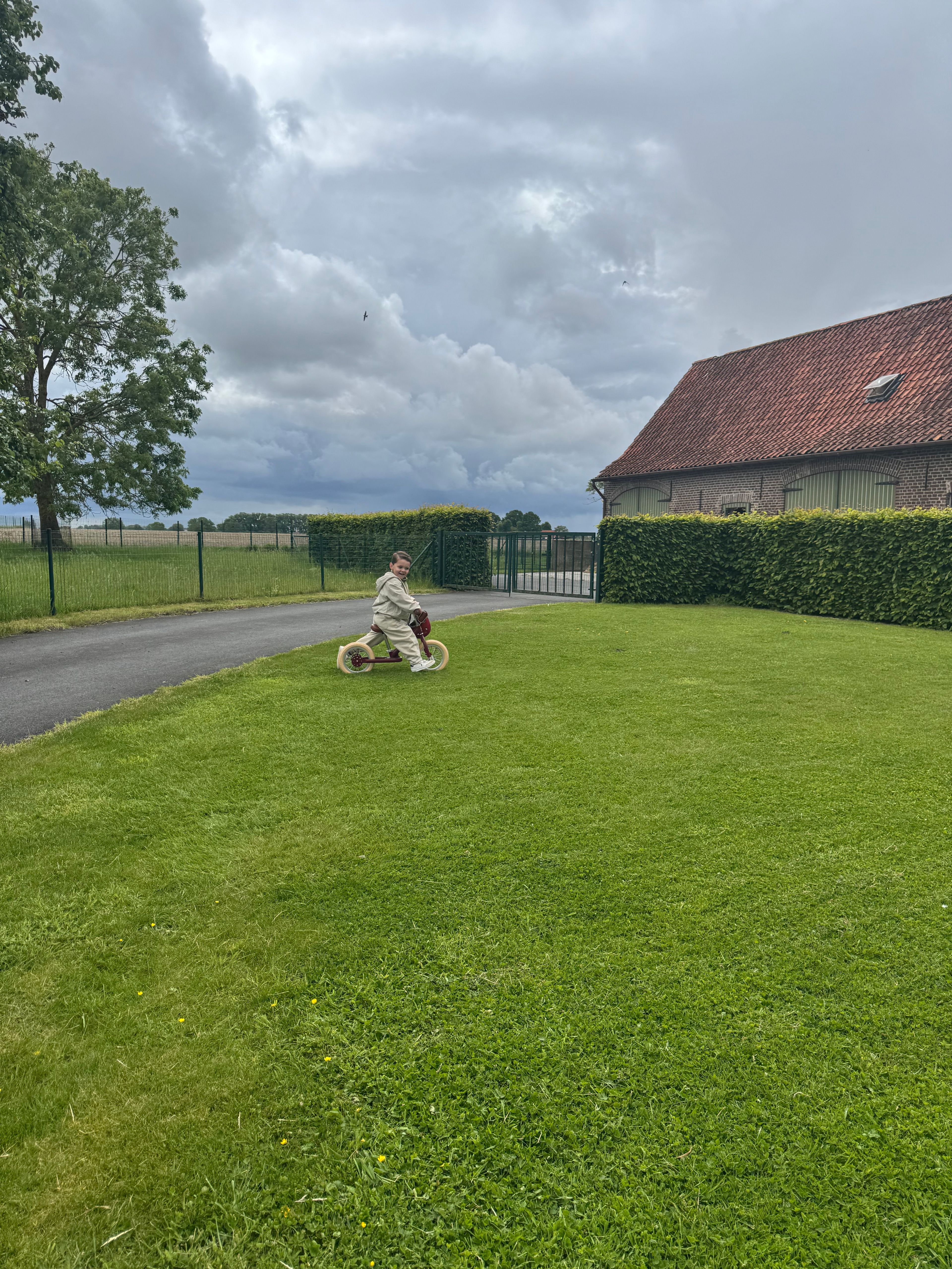 image-16