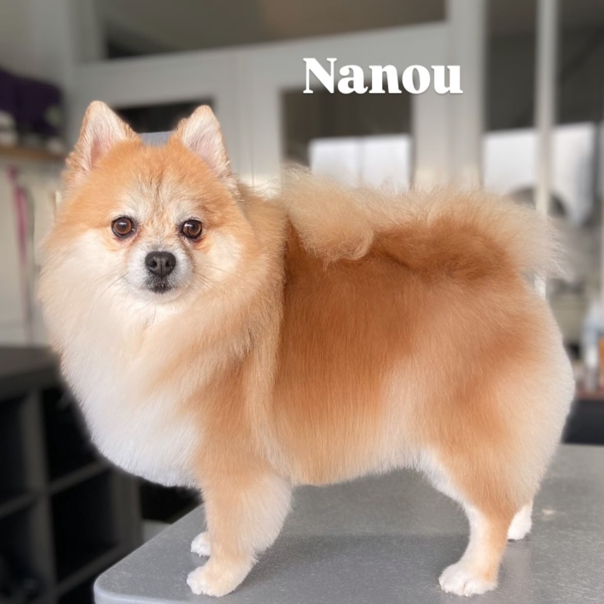 Nanou
