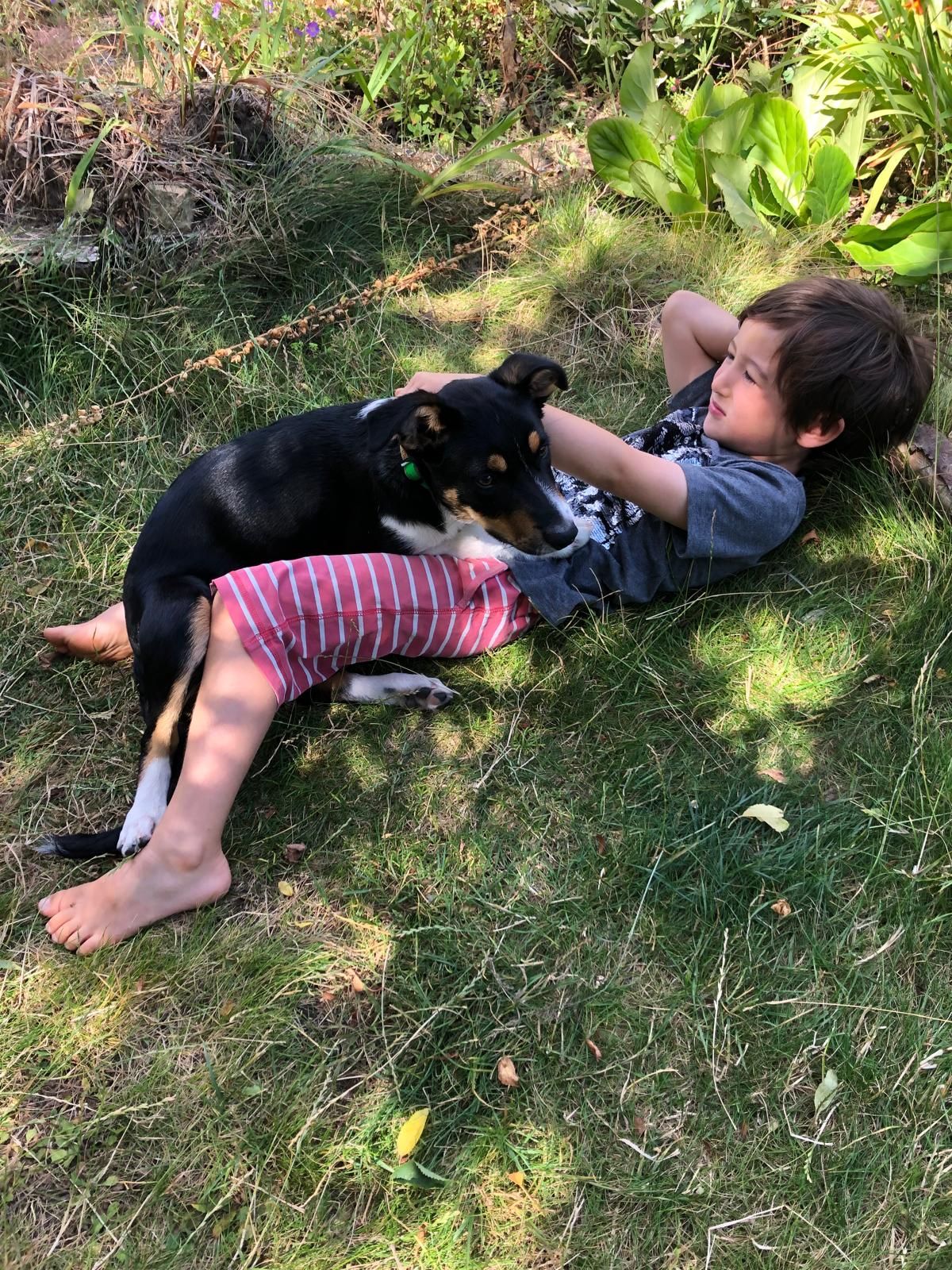 image-11
