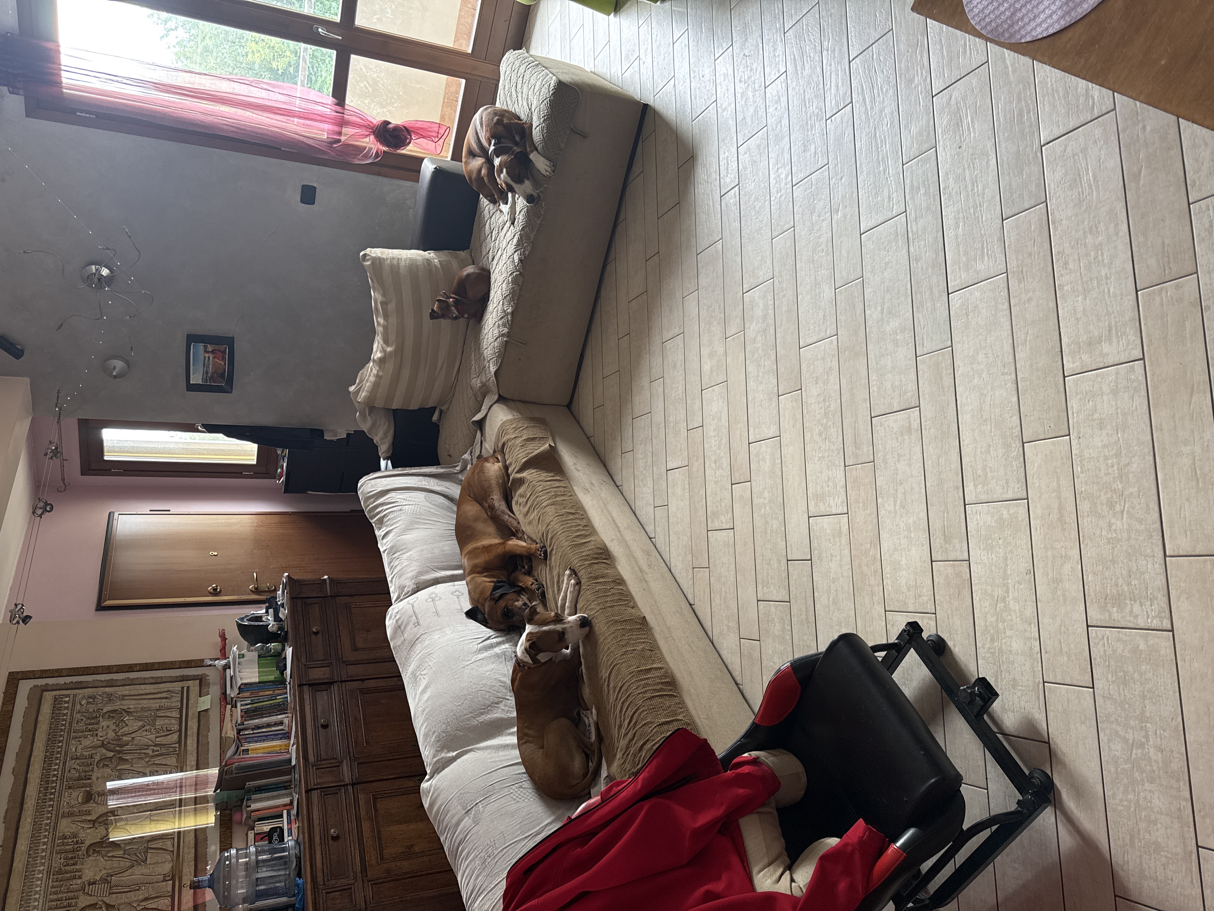image-11
