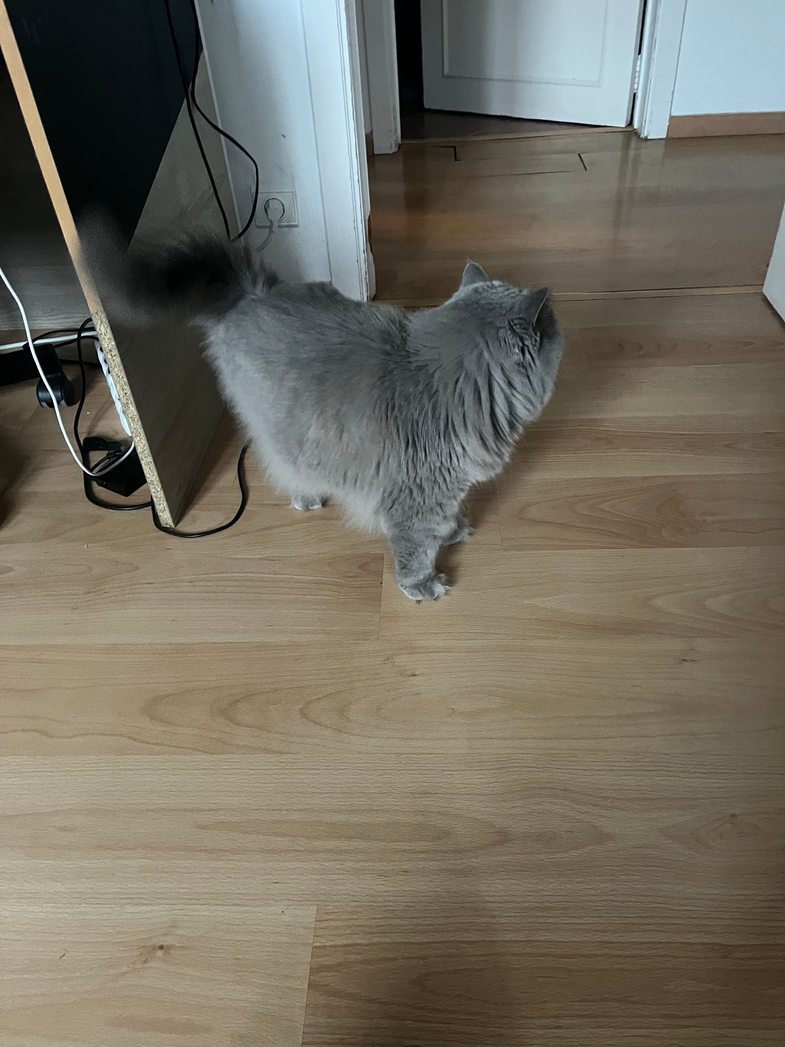 image-10