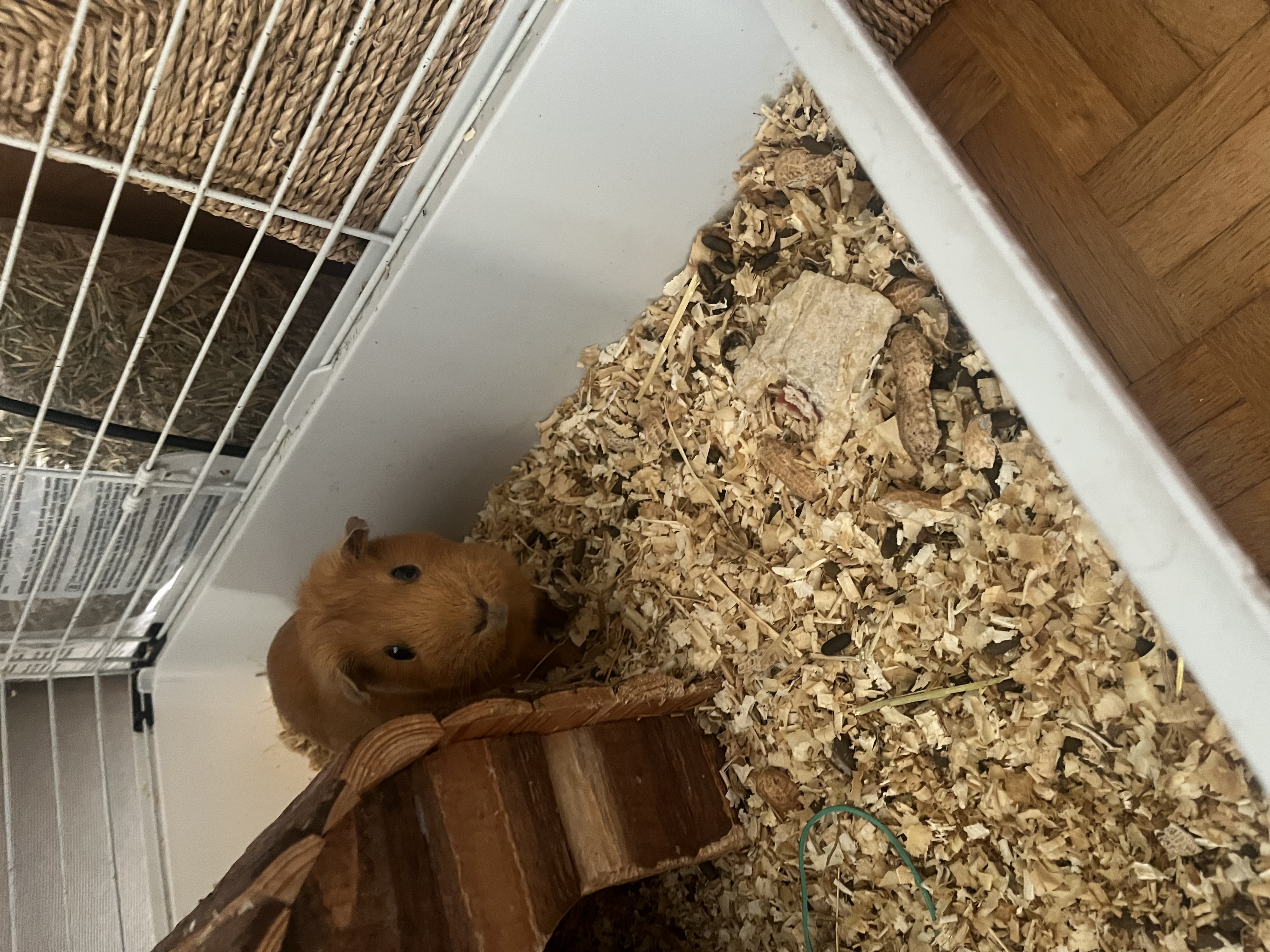 image-8