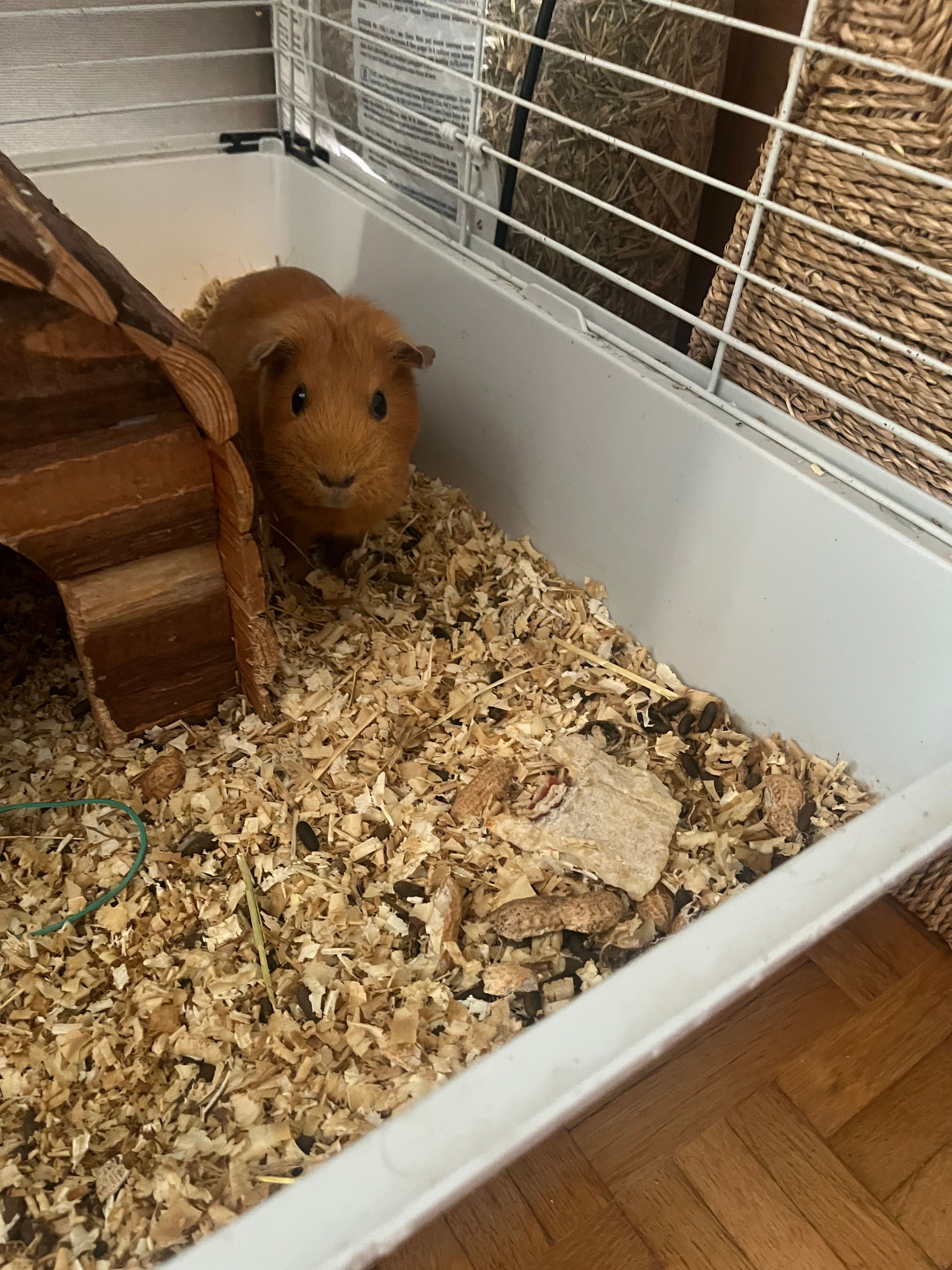 image-8