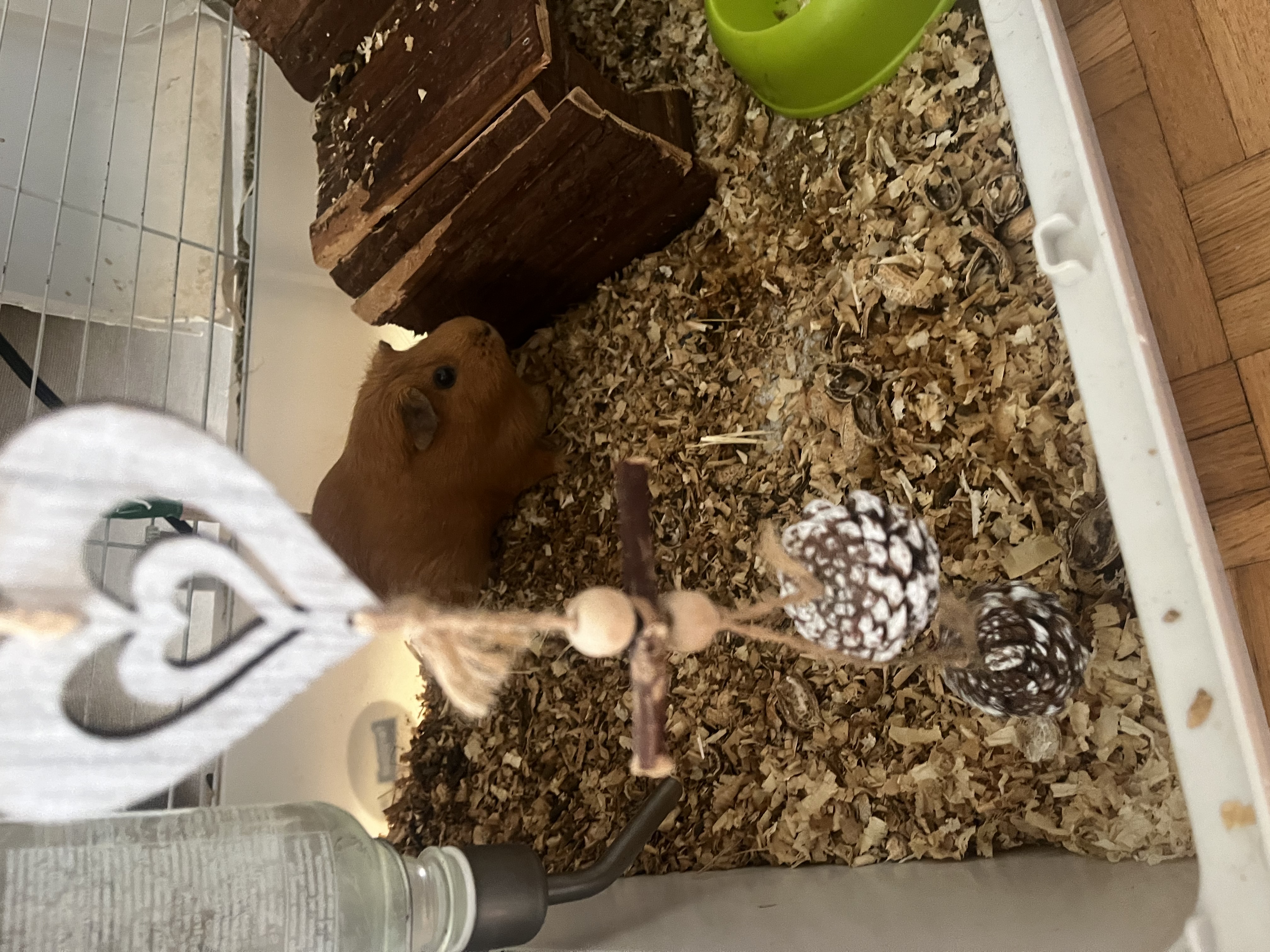 image-7