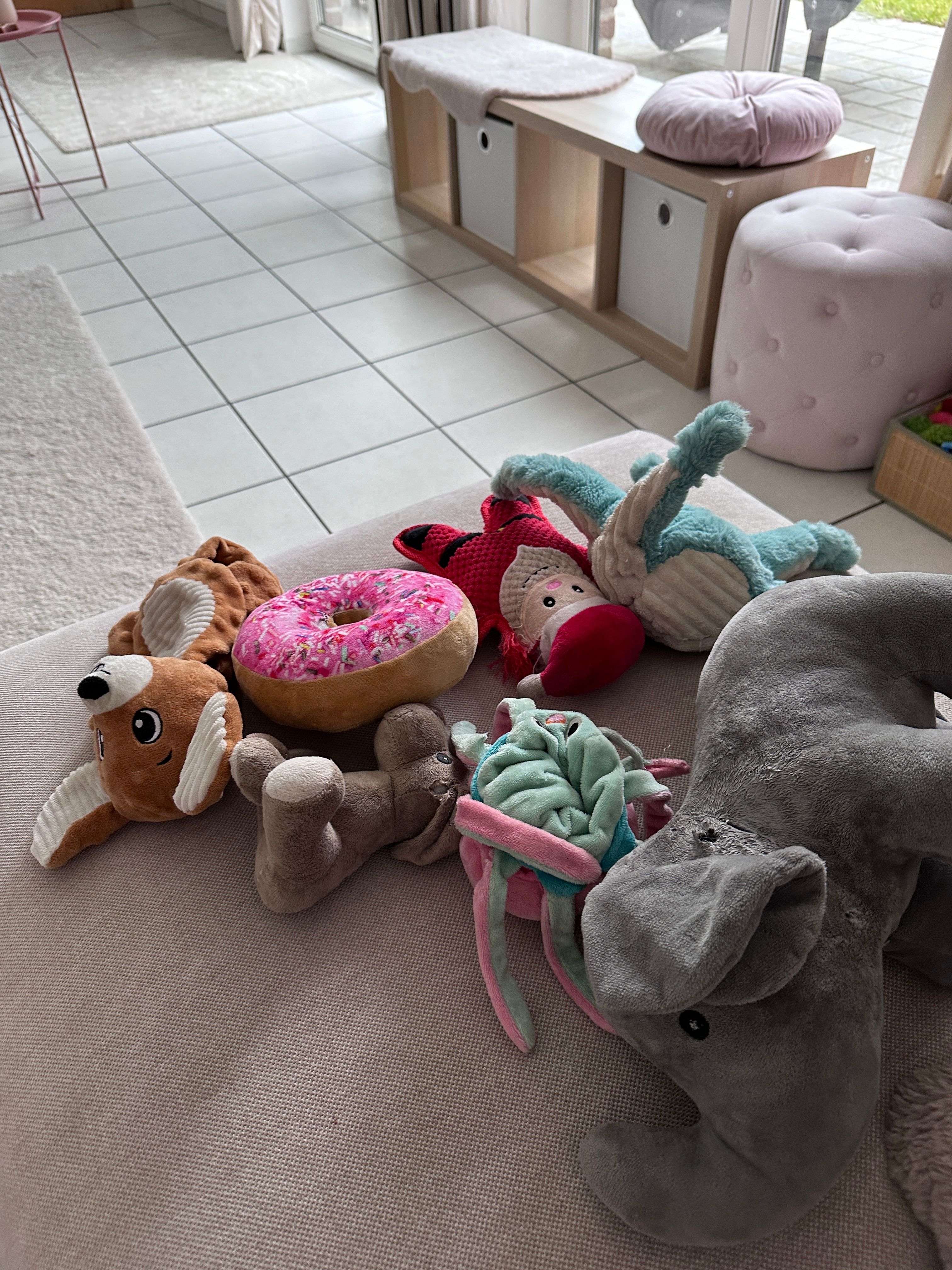 image-19