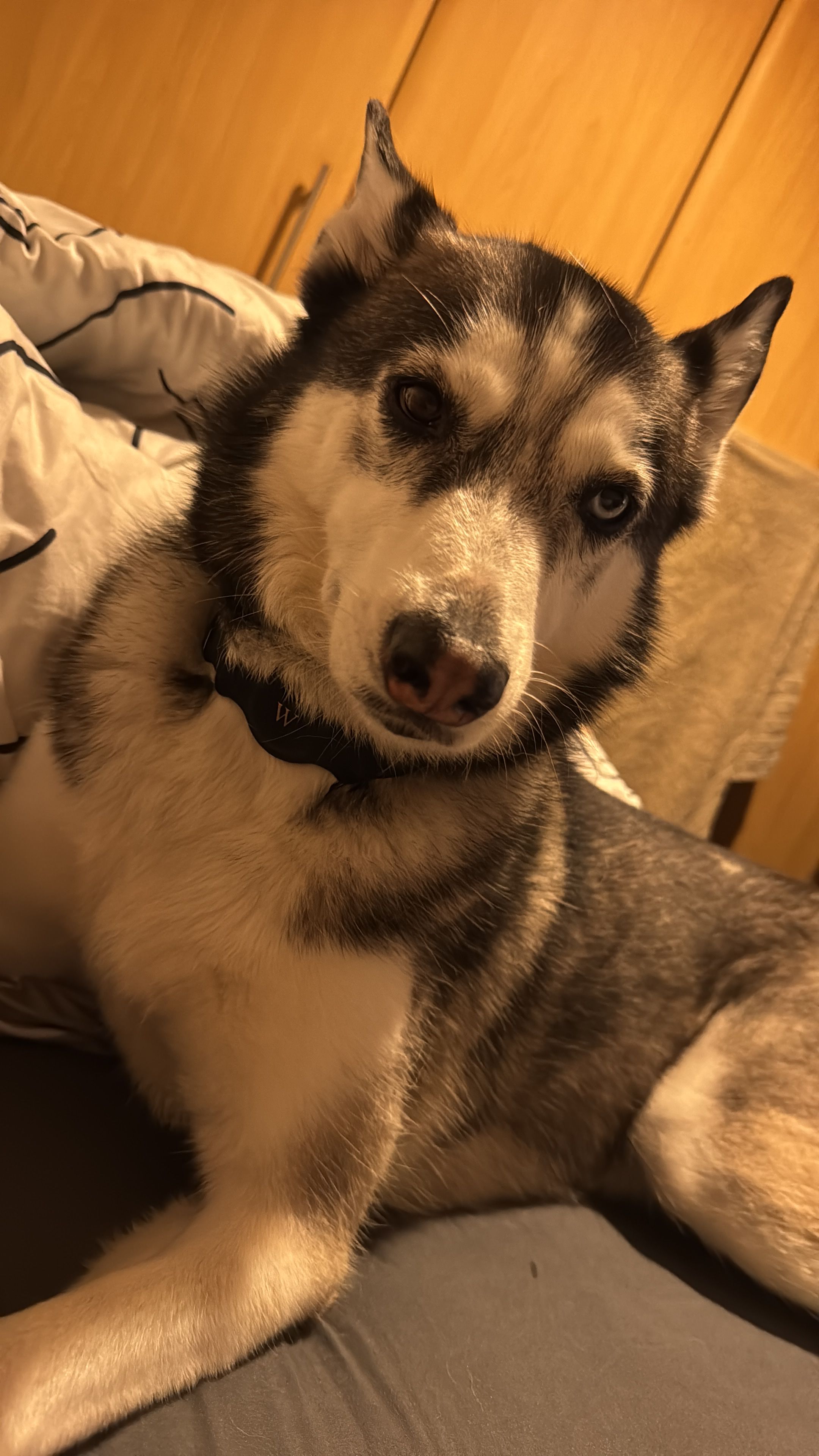 image-6