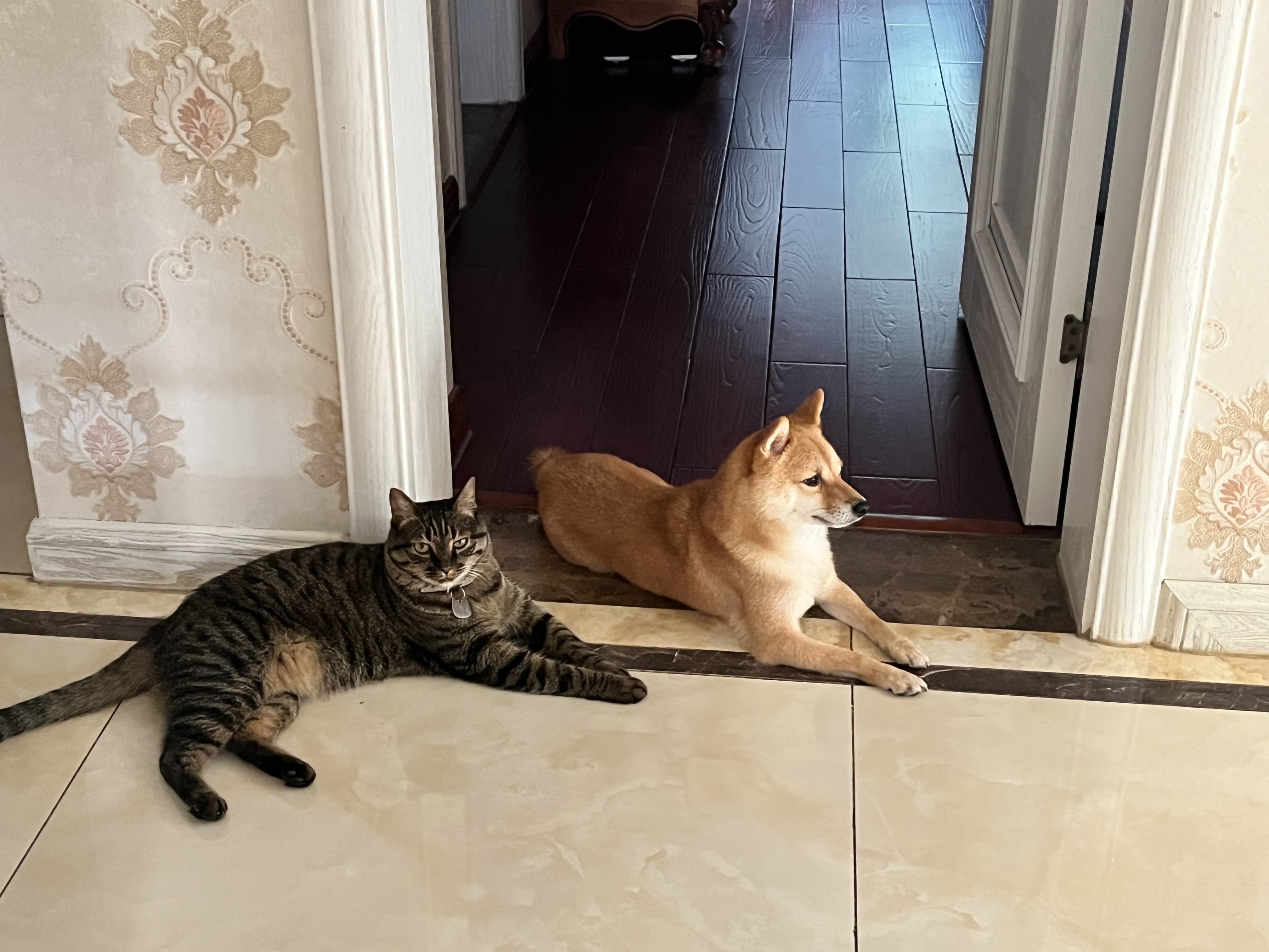 image-6