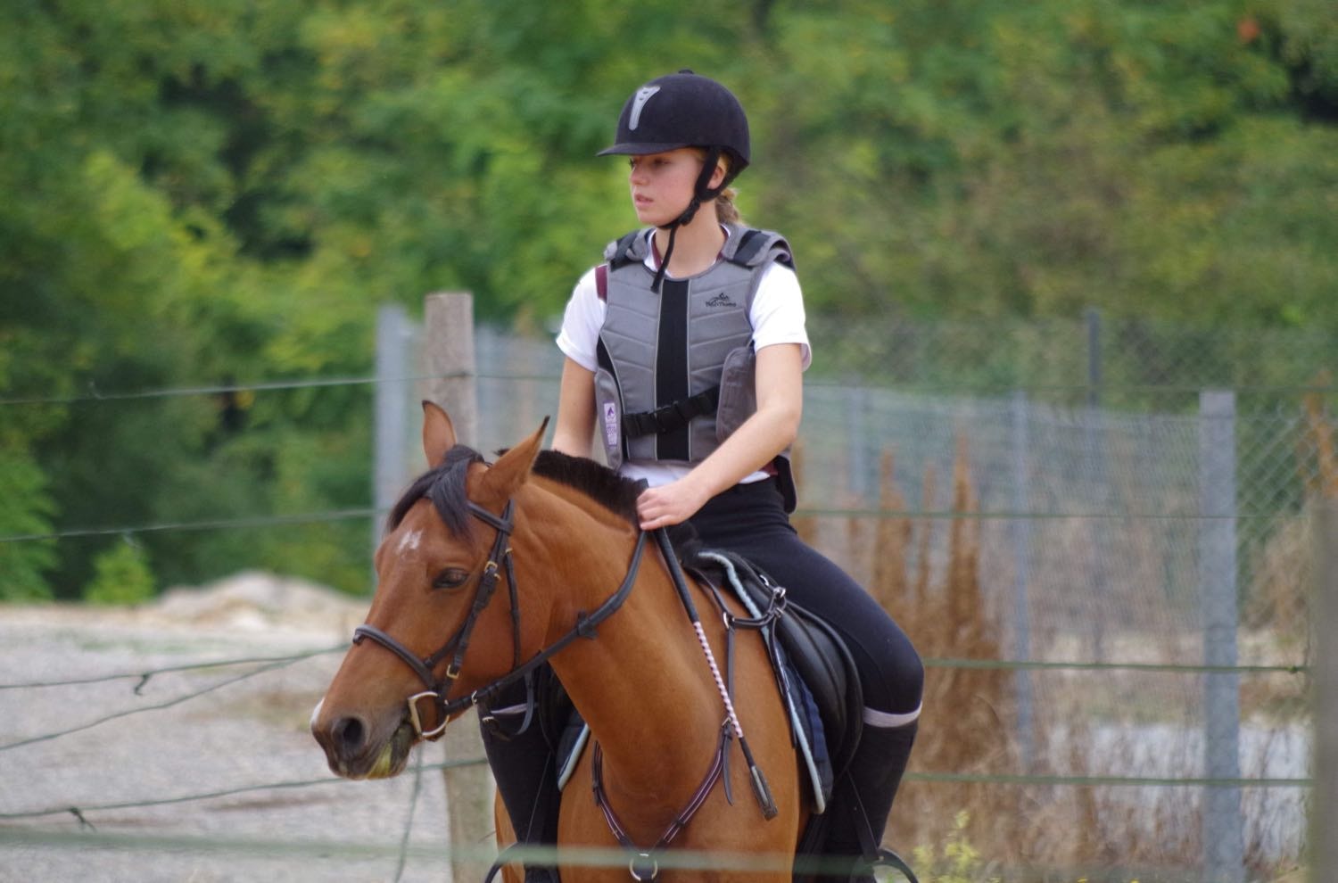 image-6