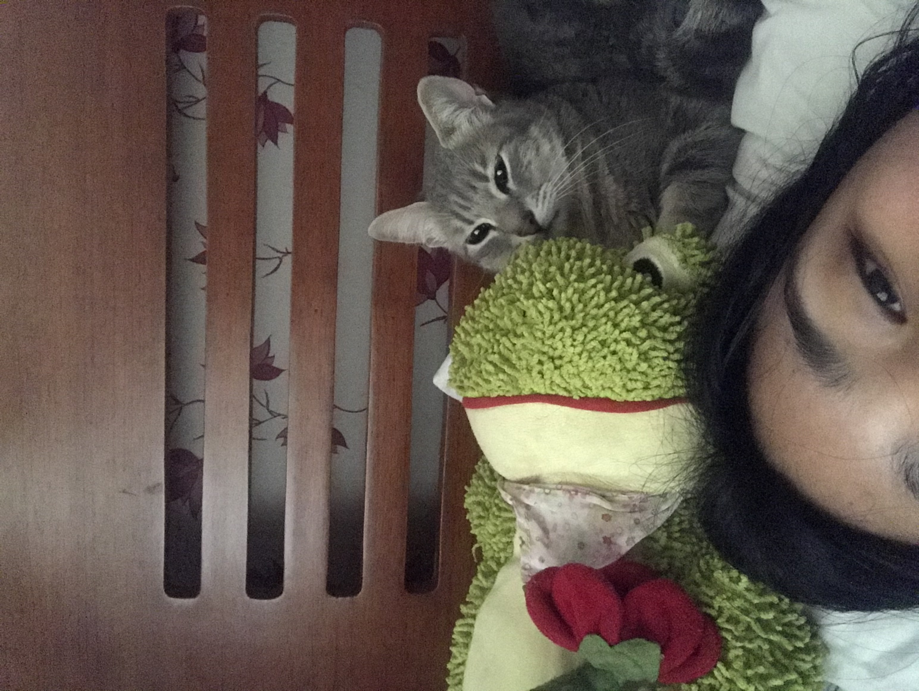 image-5