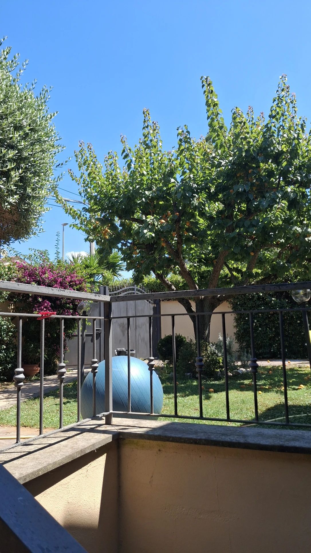 image-8