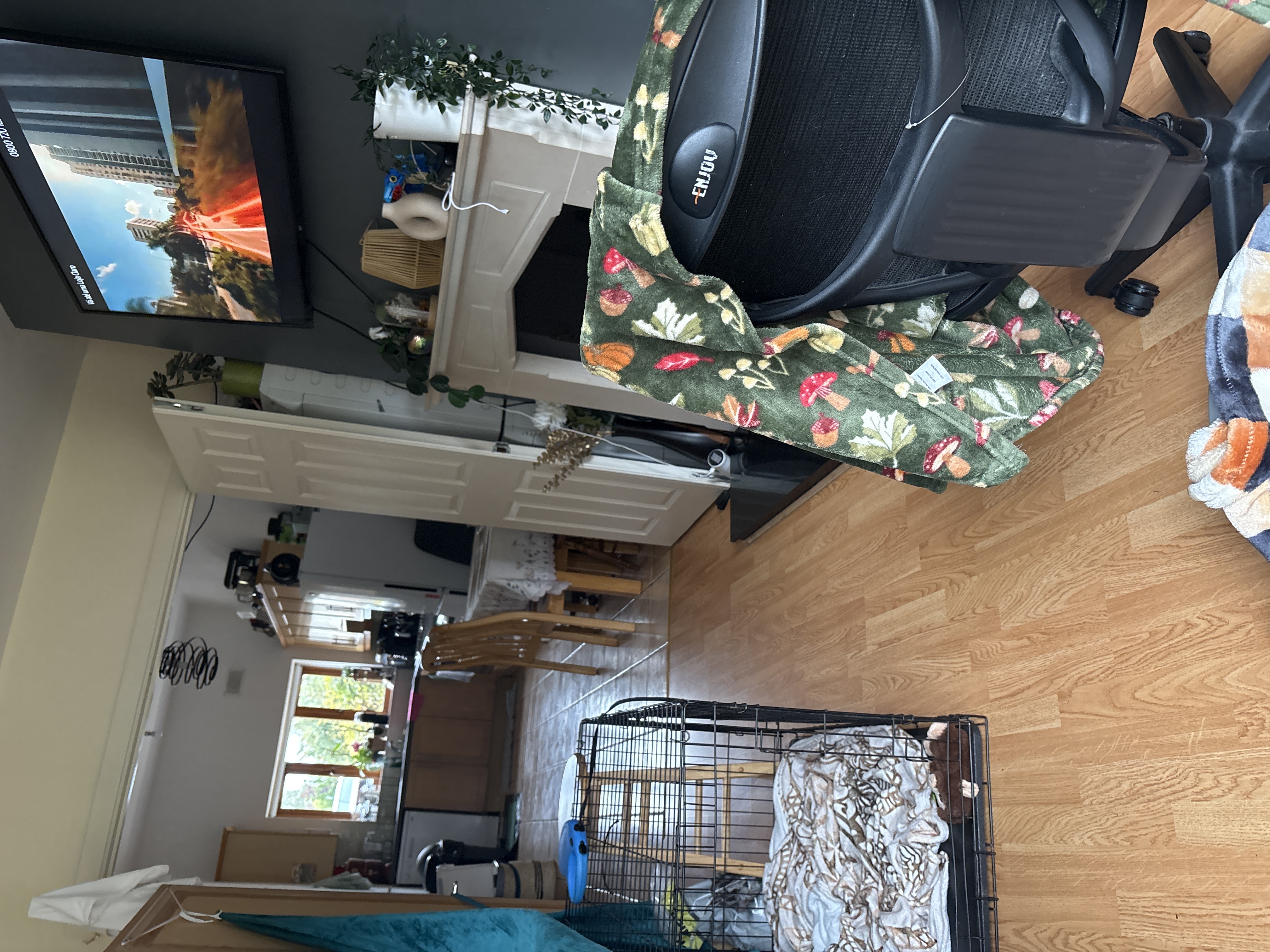 image-11