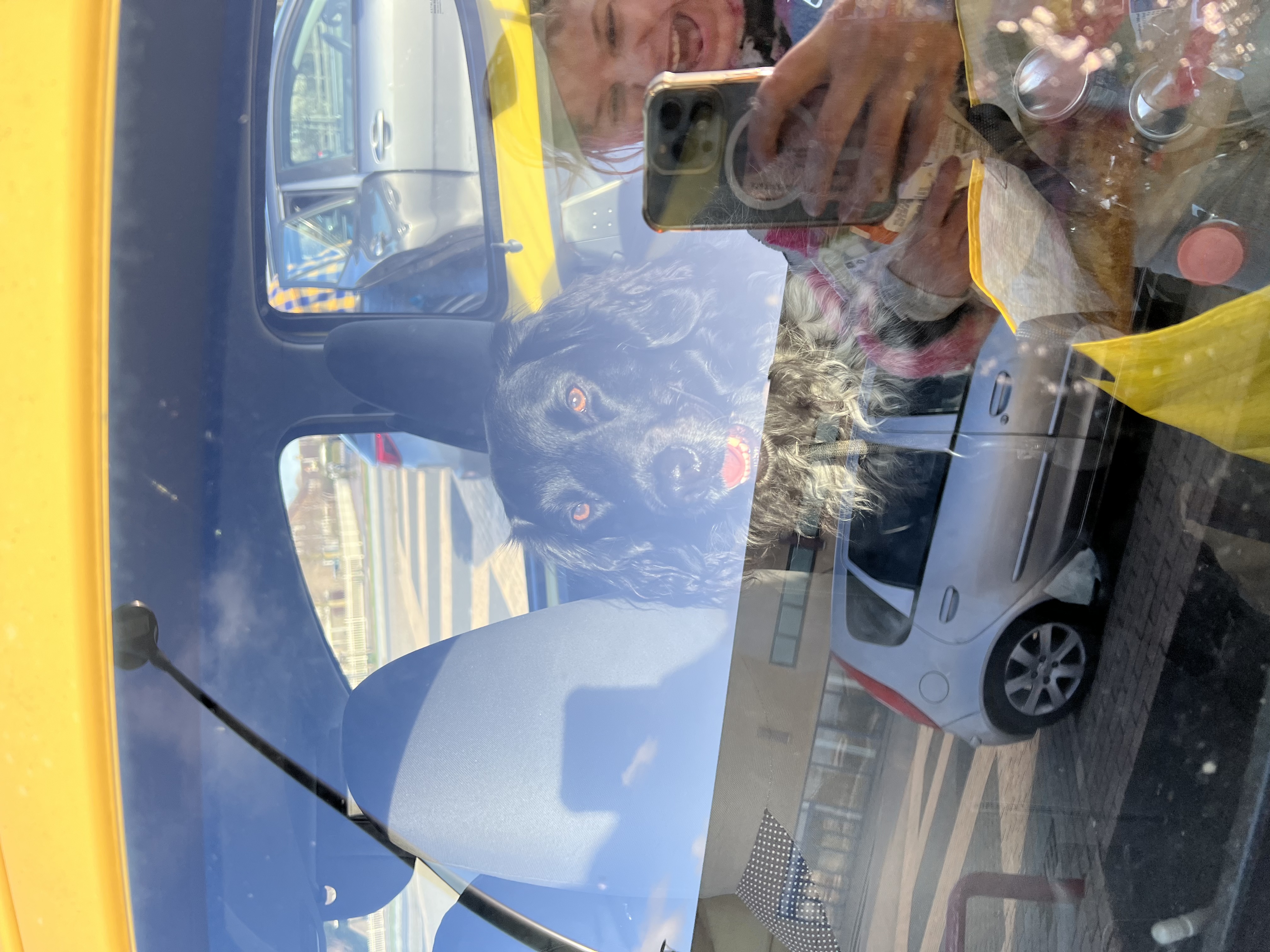 image-13