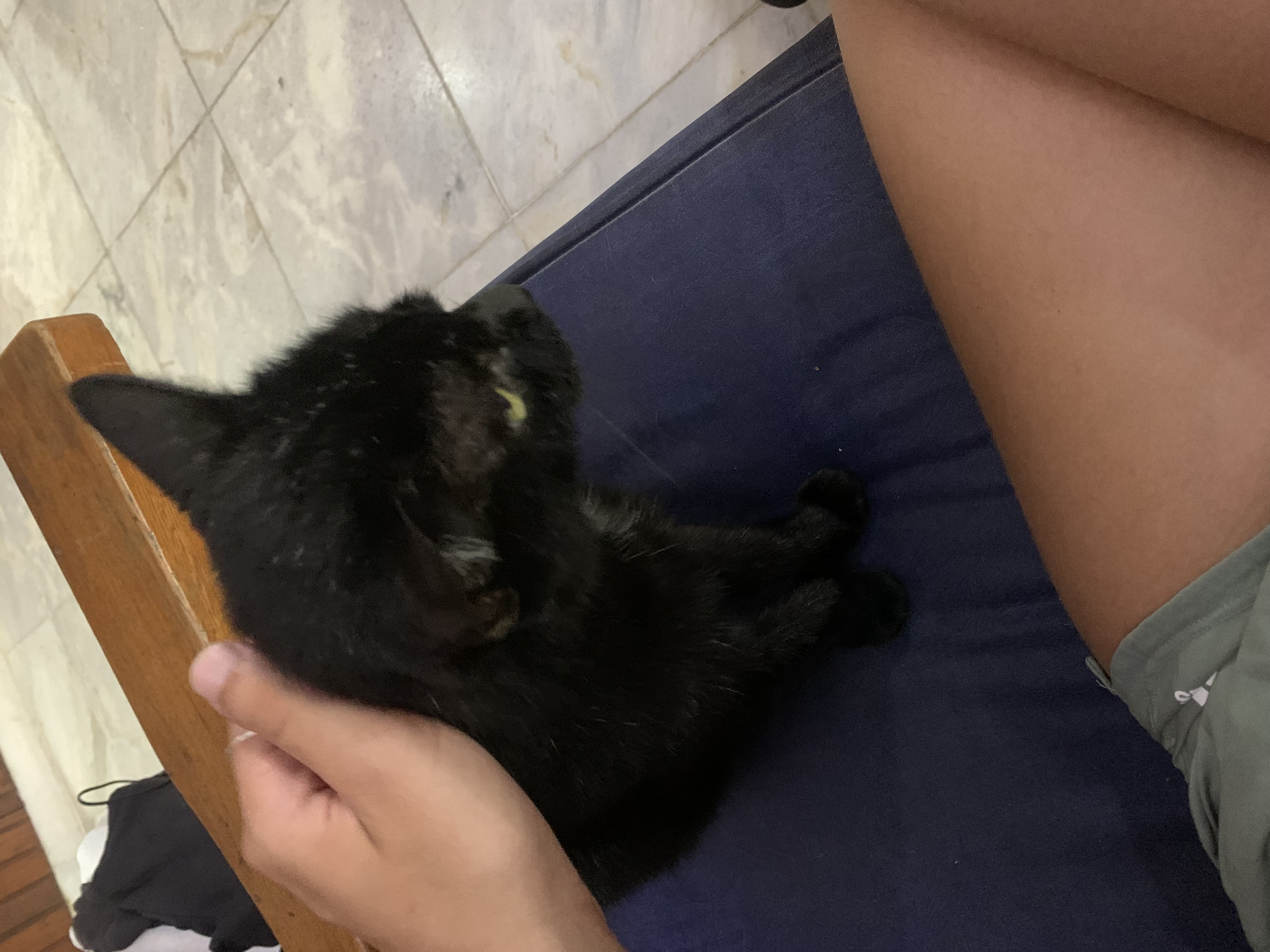 image-6