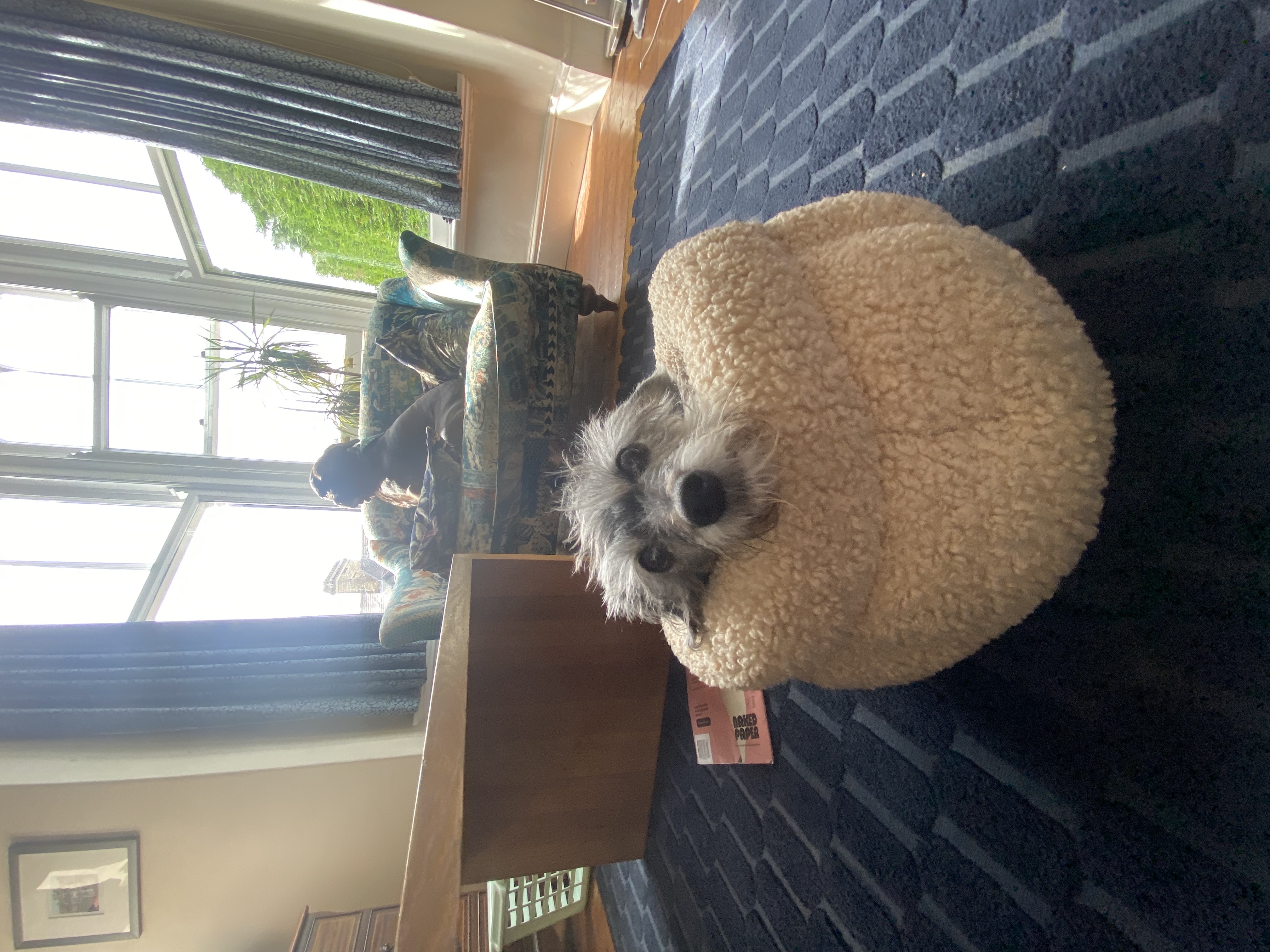 image-15