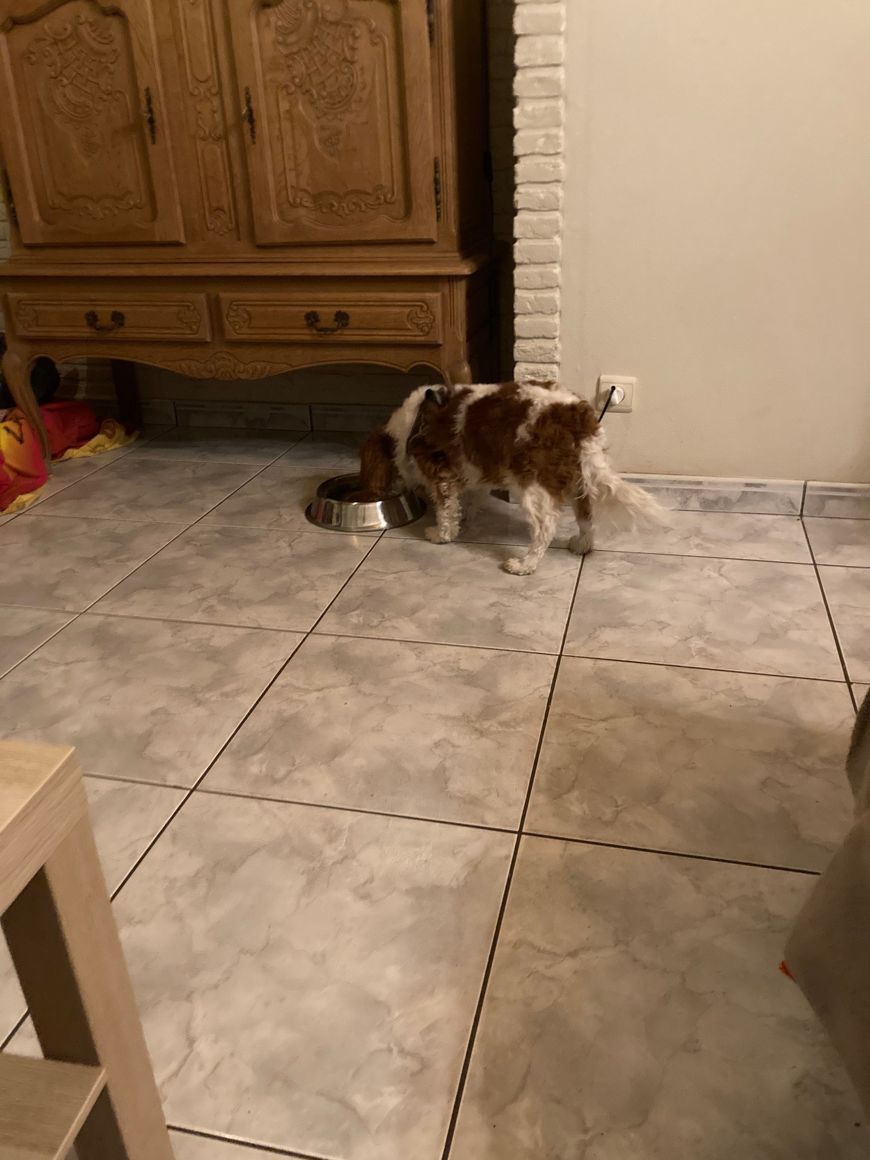image-25