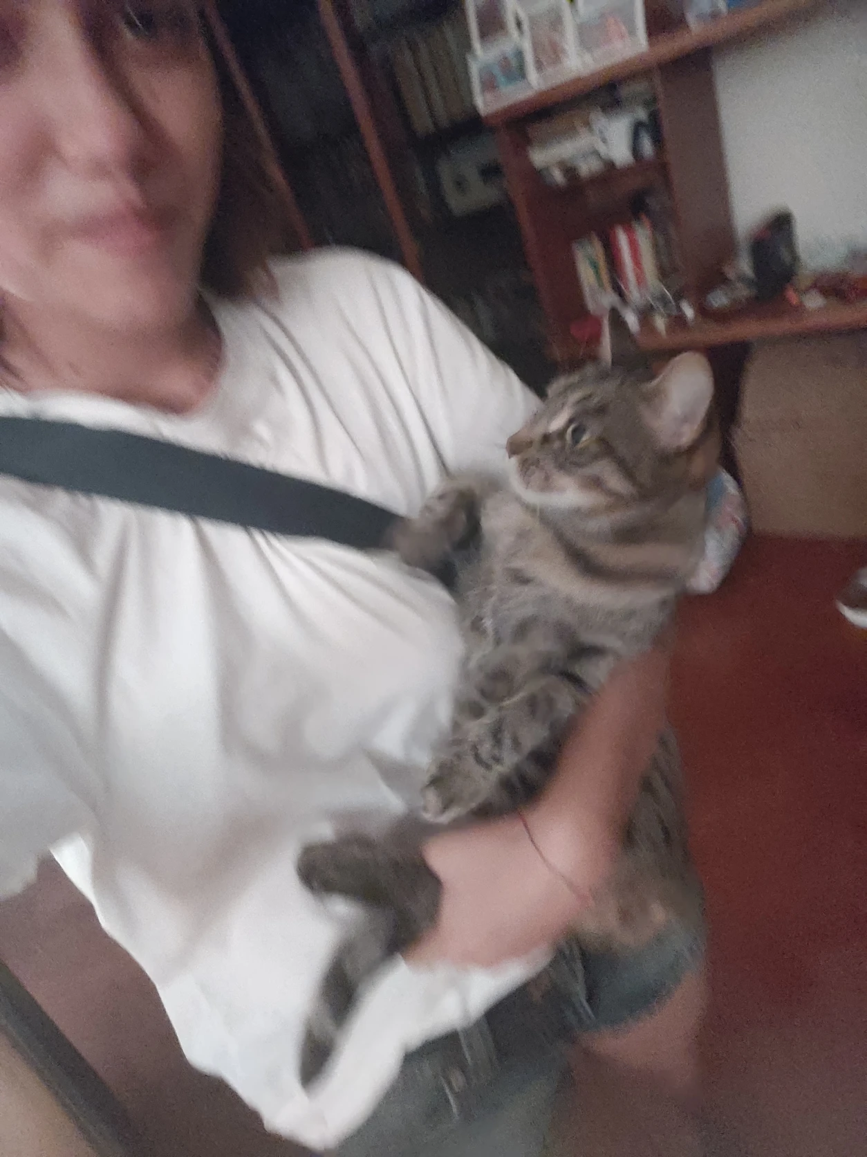 image-6