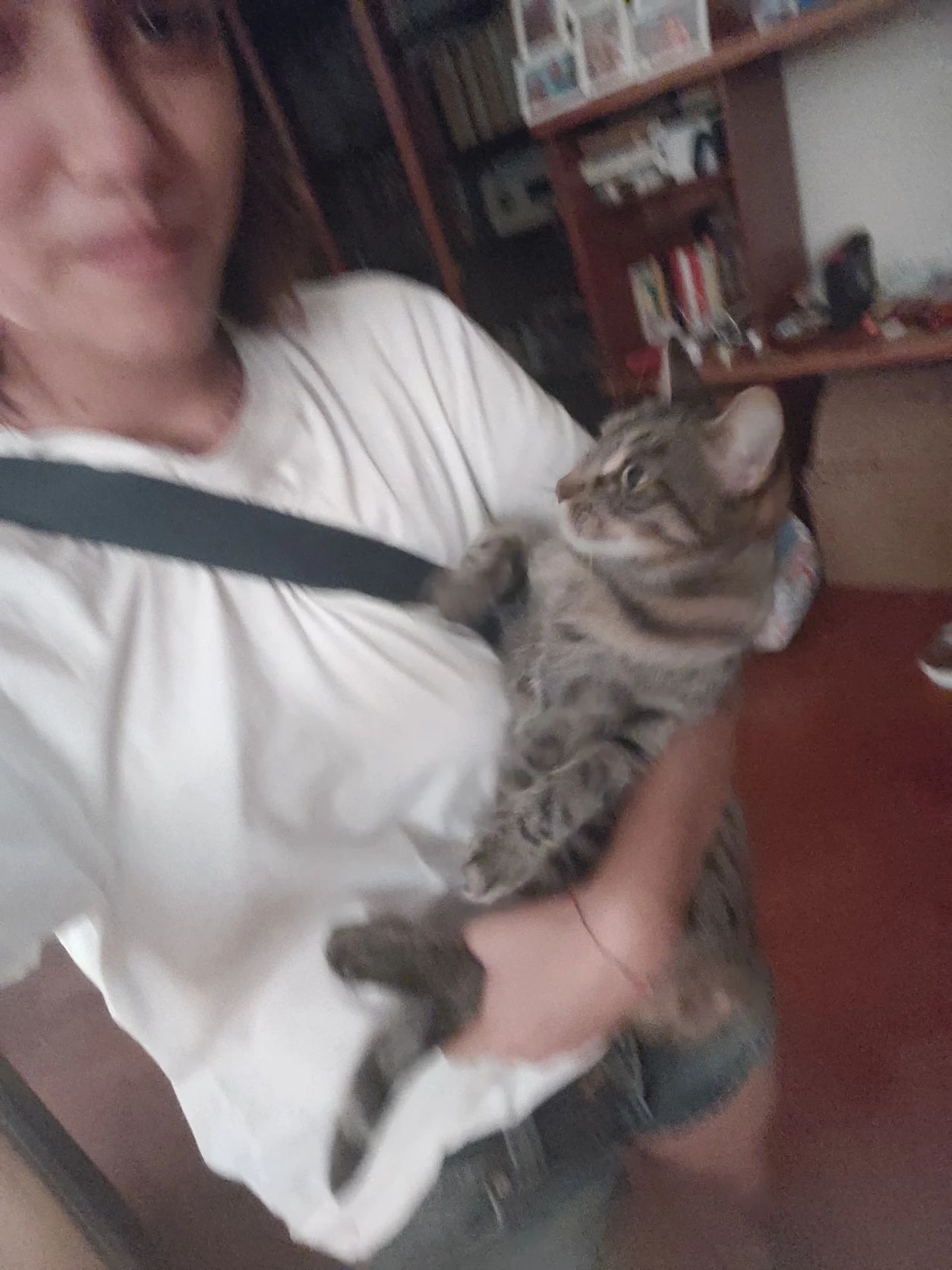 image-6