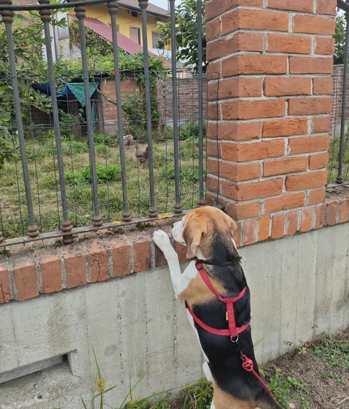 image-7