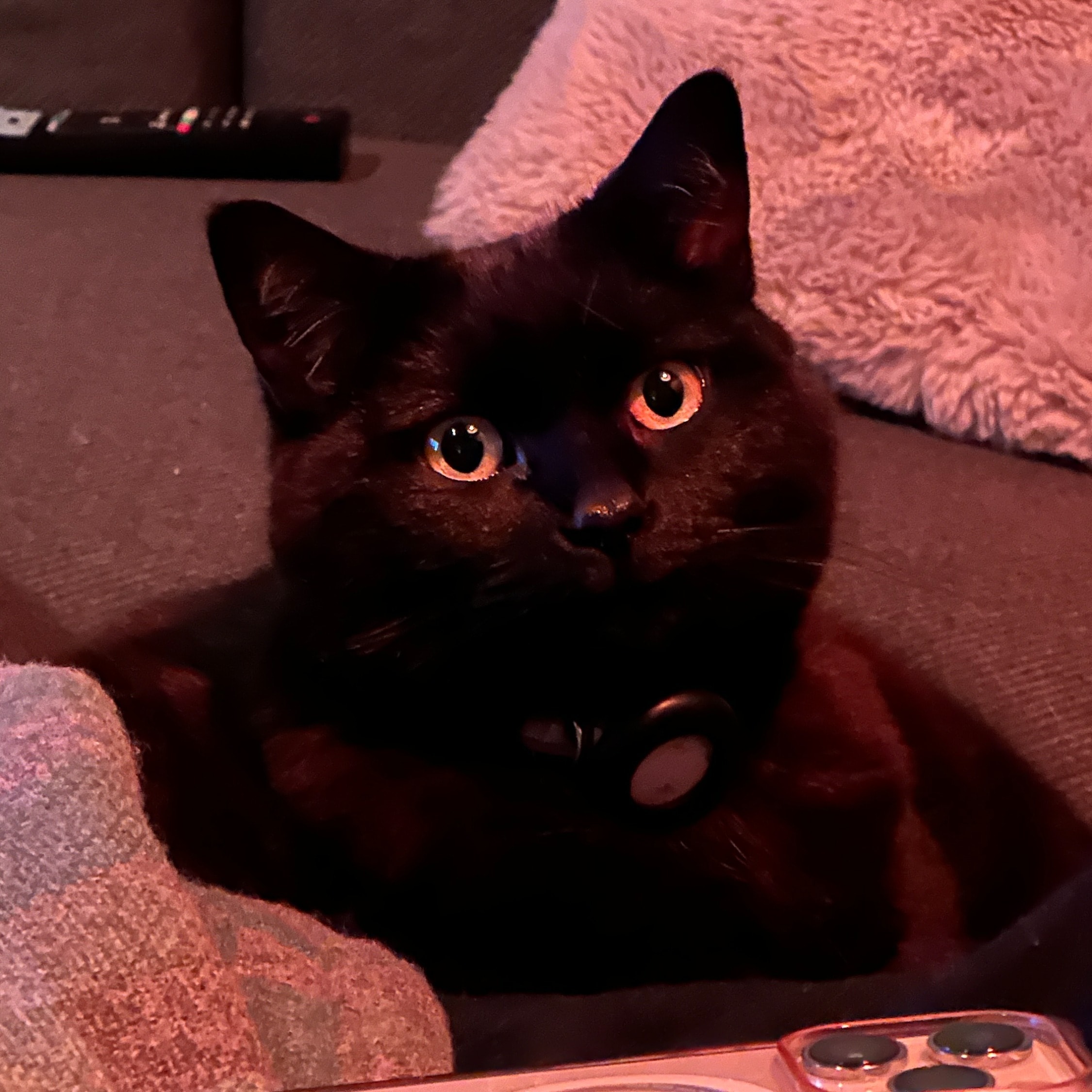 Kisya