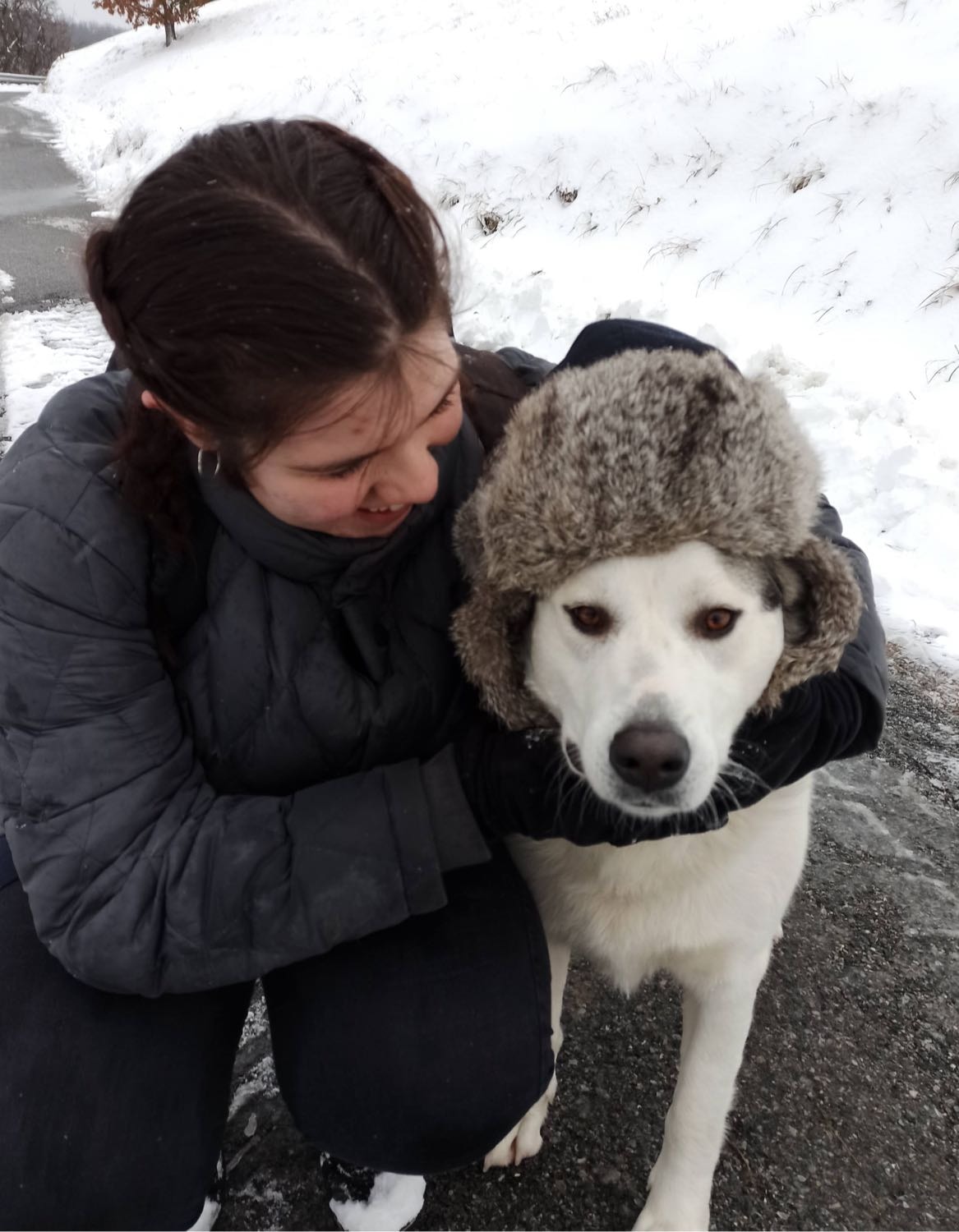 image-6