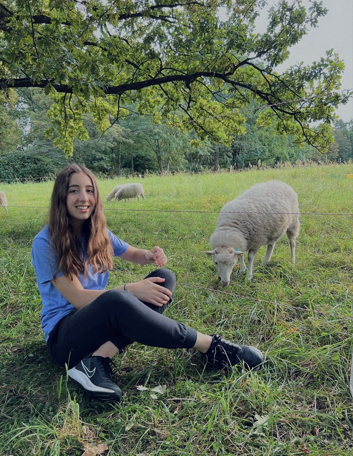 image-6