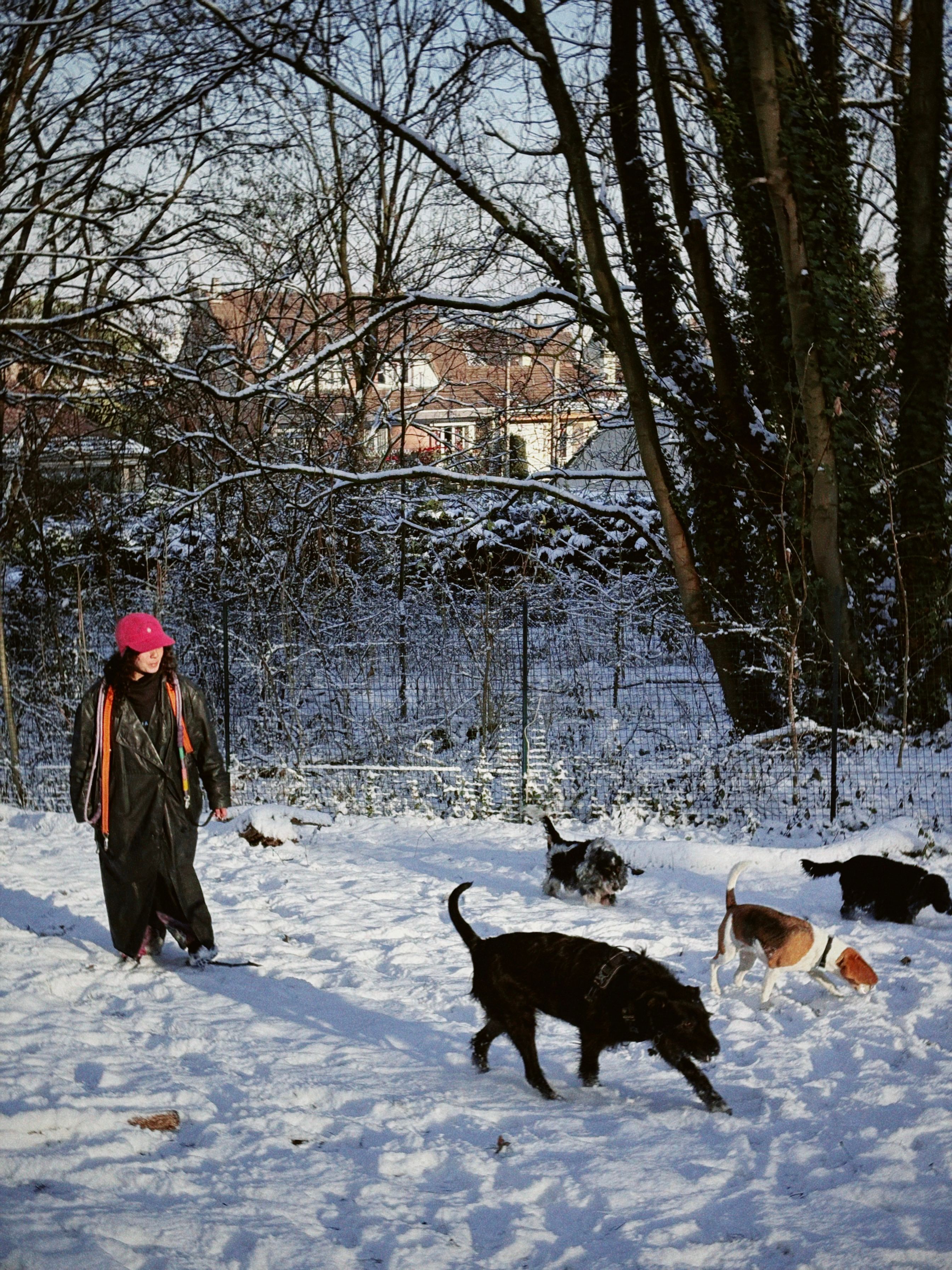 image-9