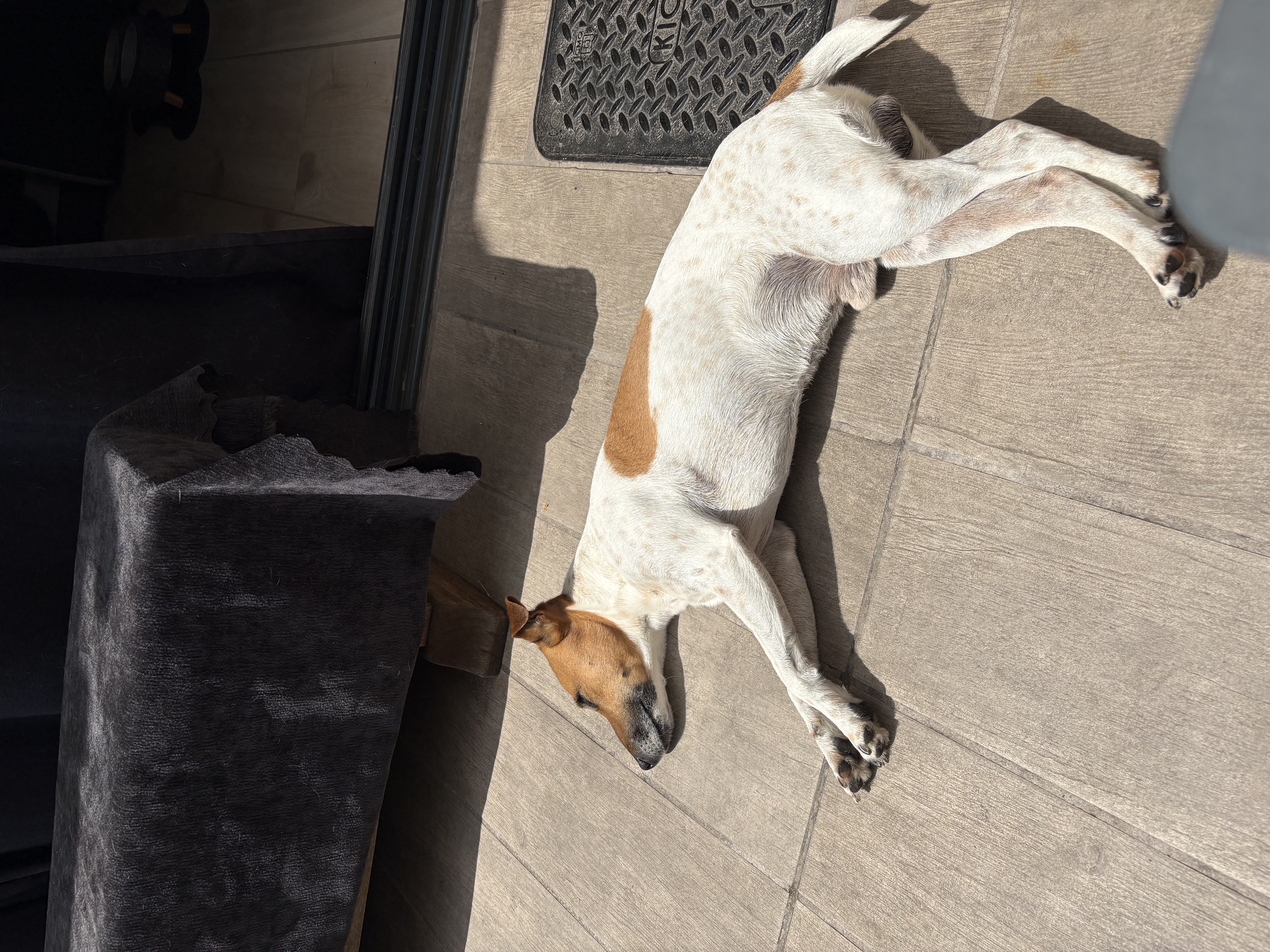 image-23