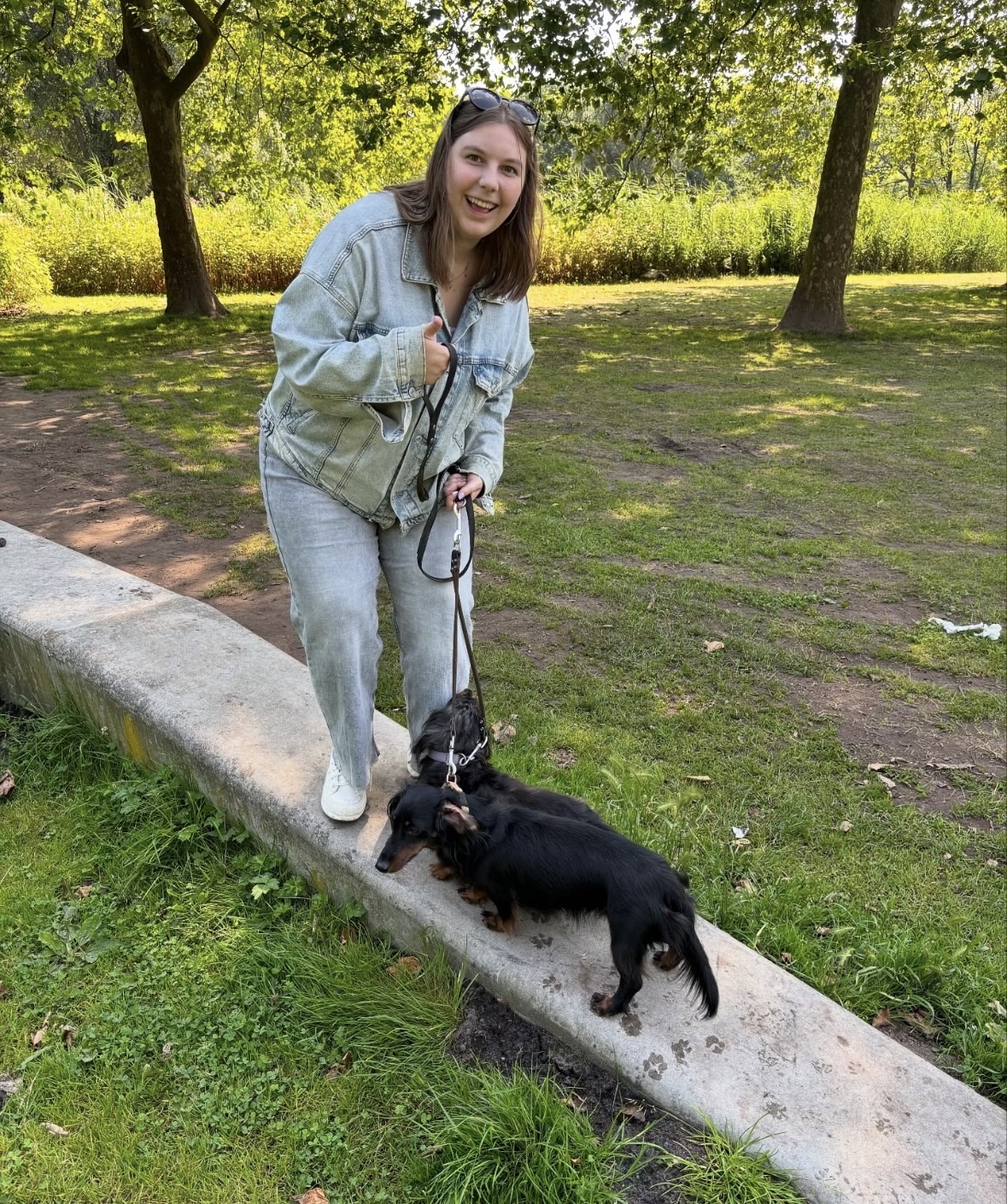 image-6