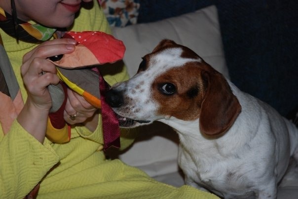 image-5