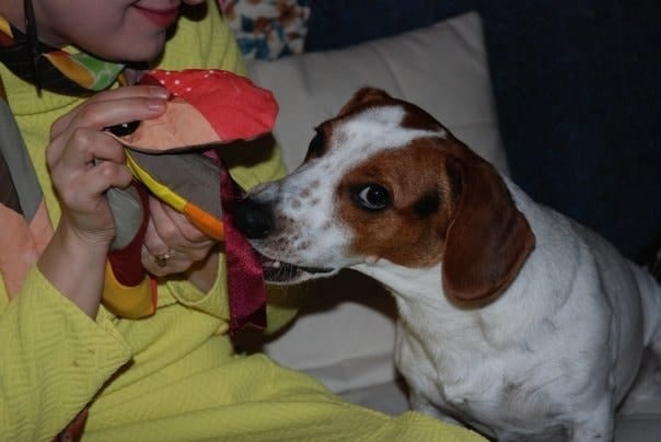 image-5