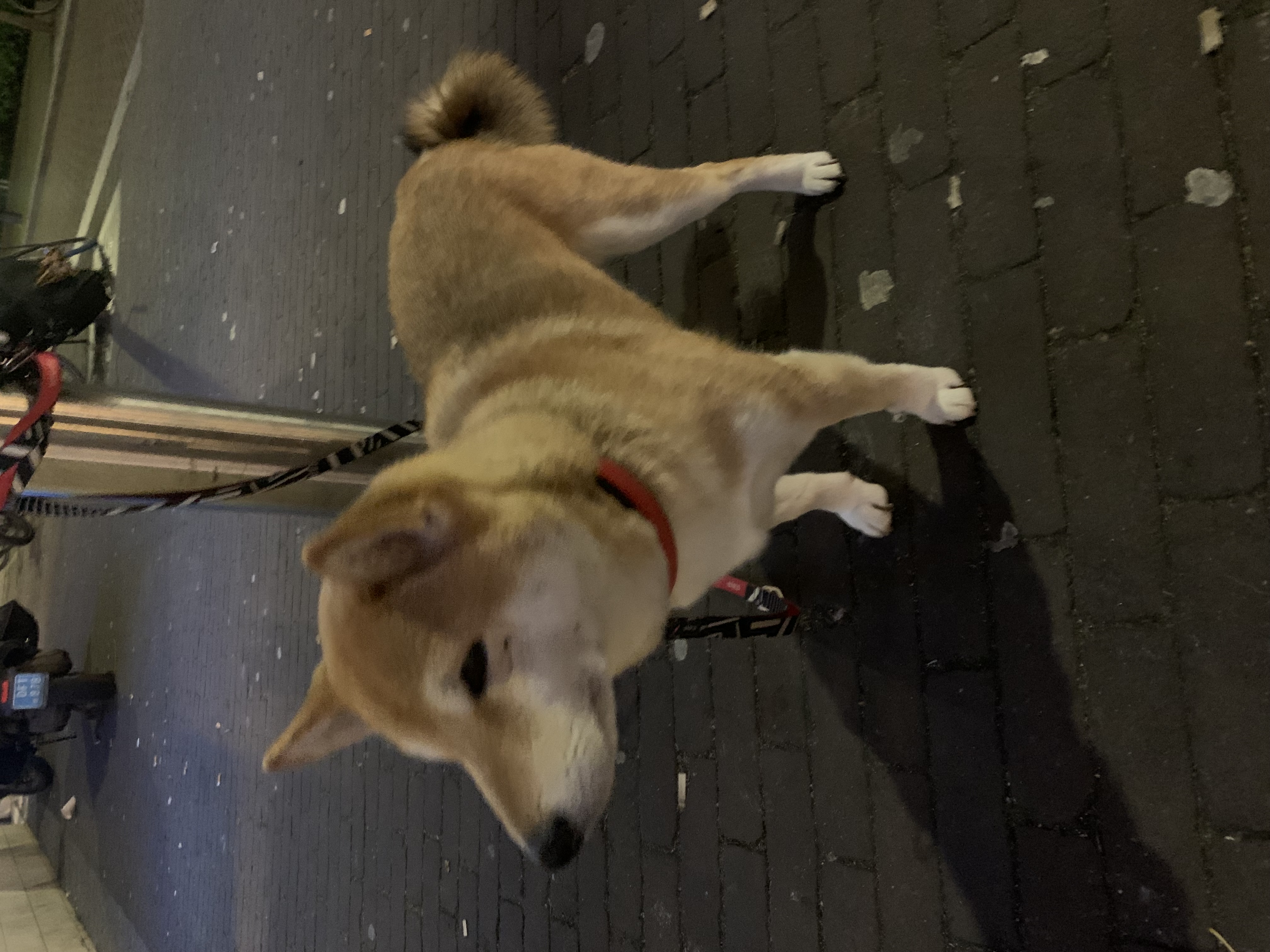 image-8