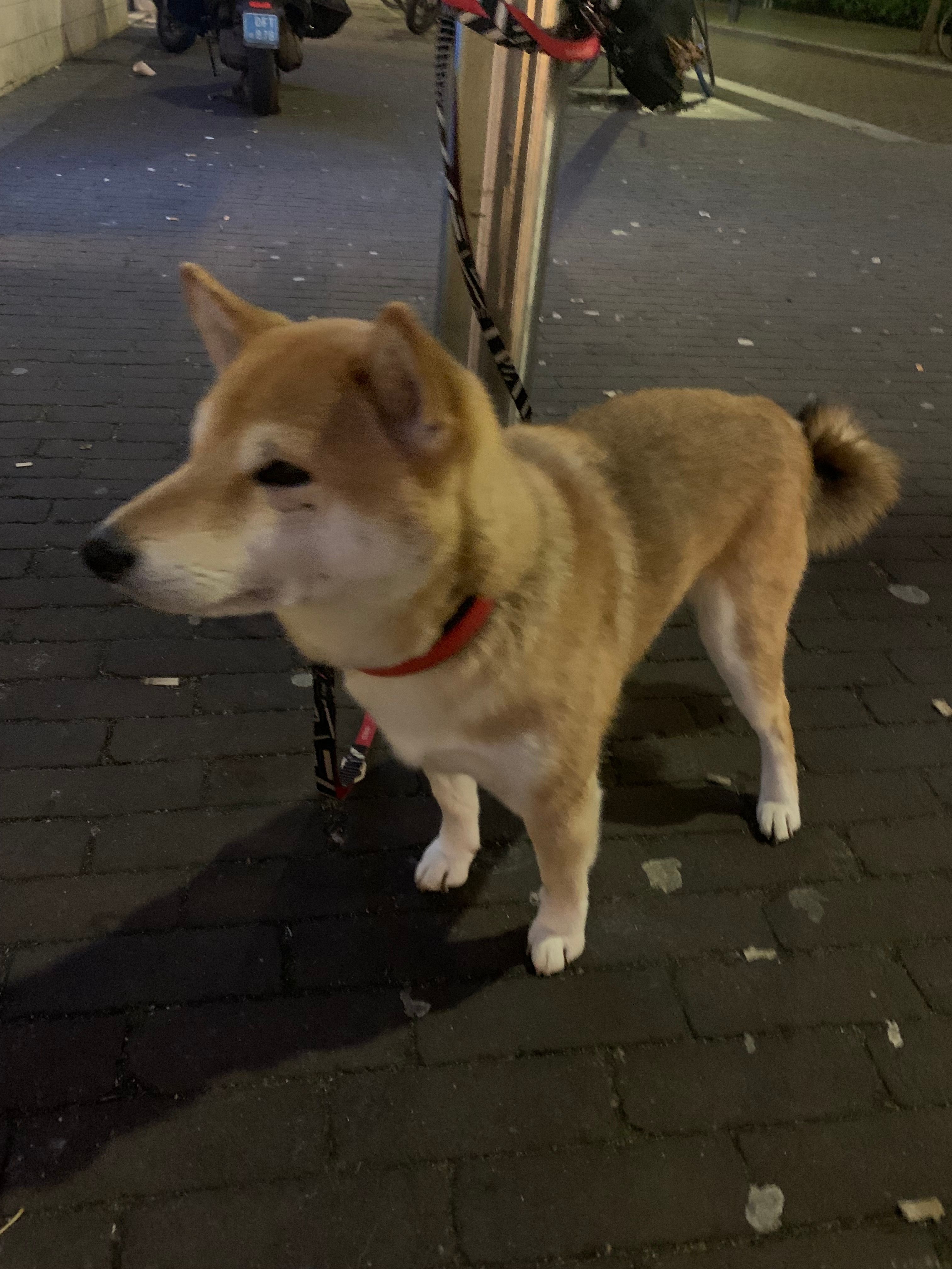 image-8