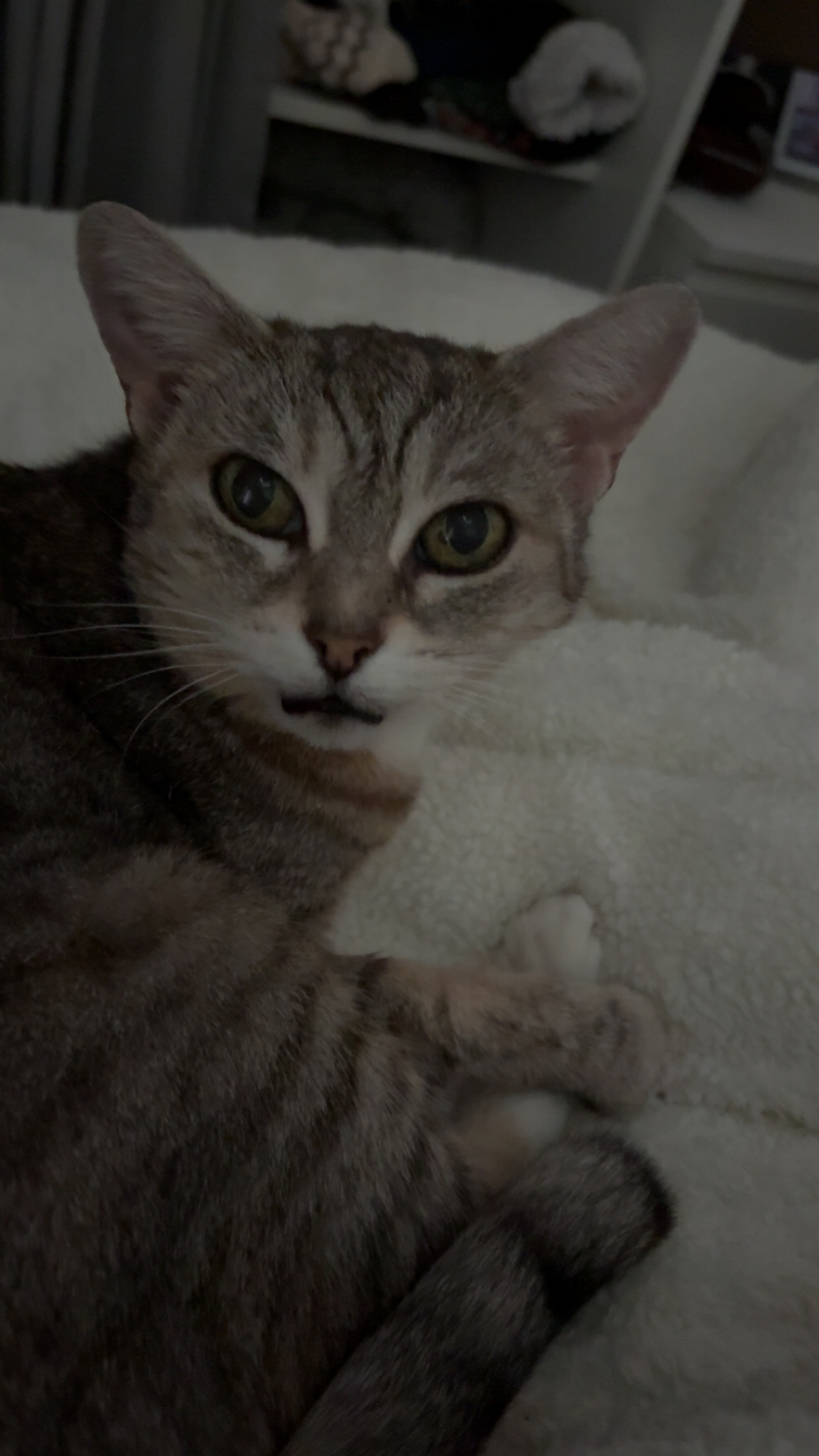 image-8