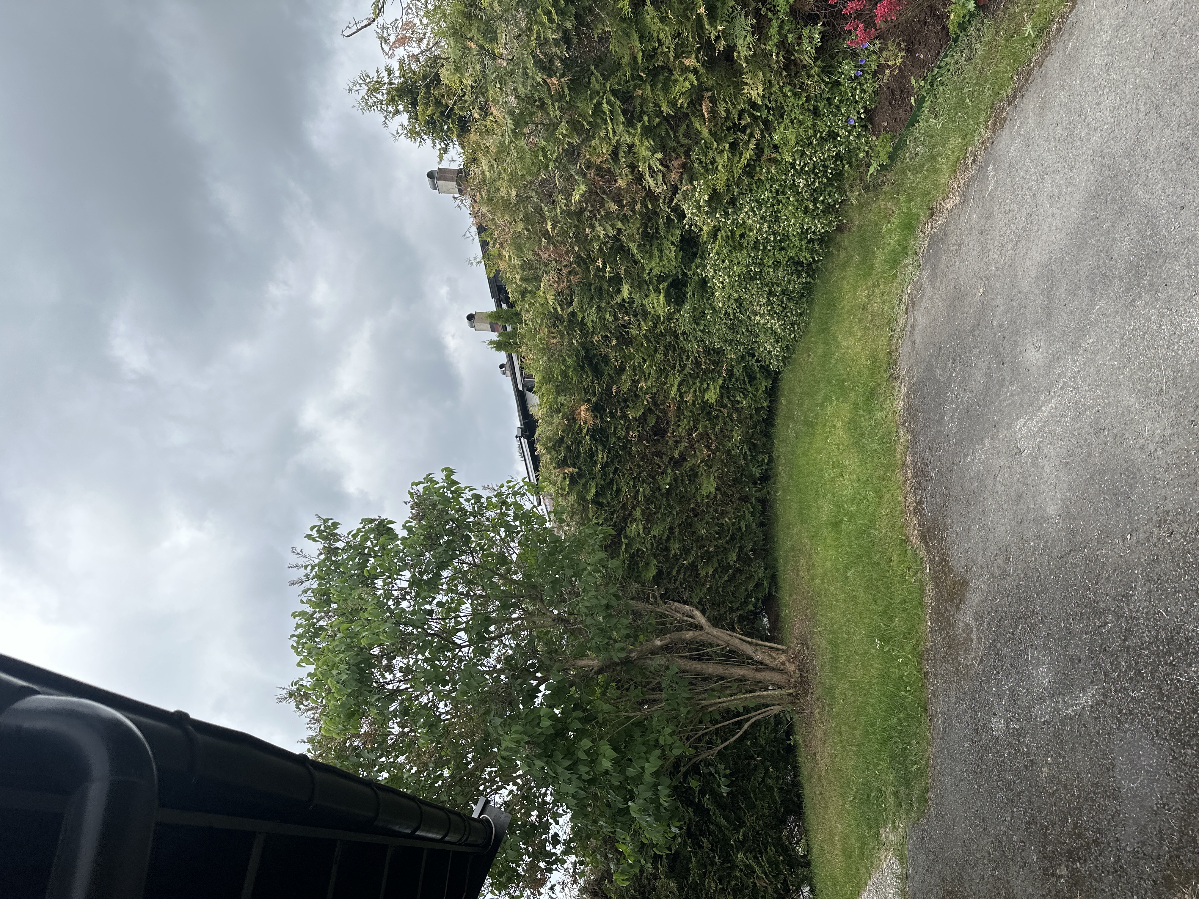 image-22