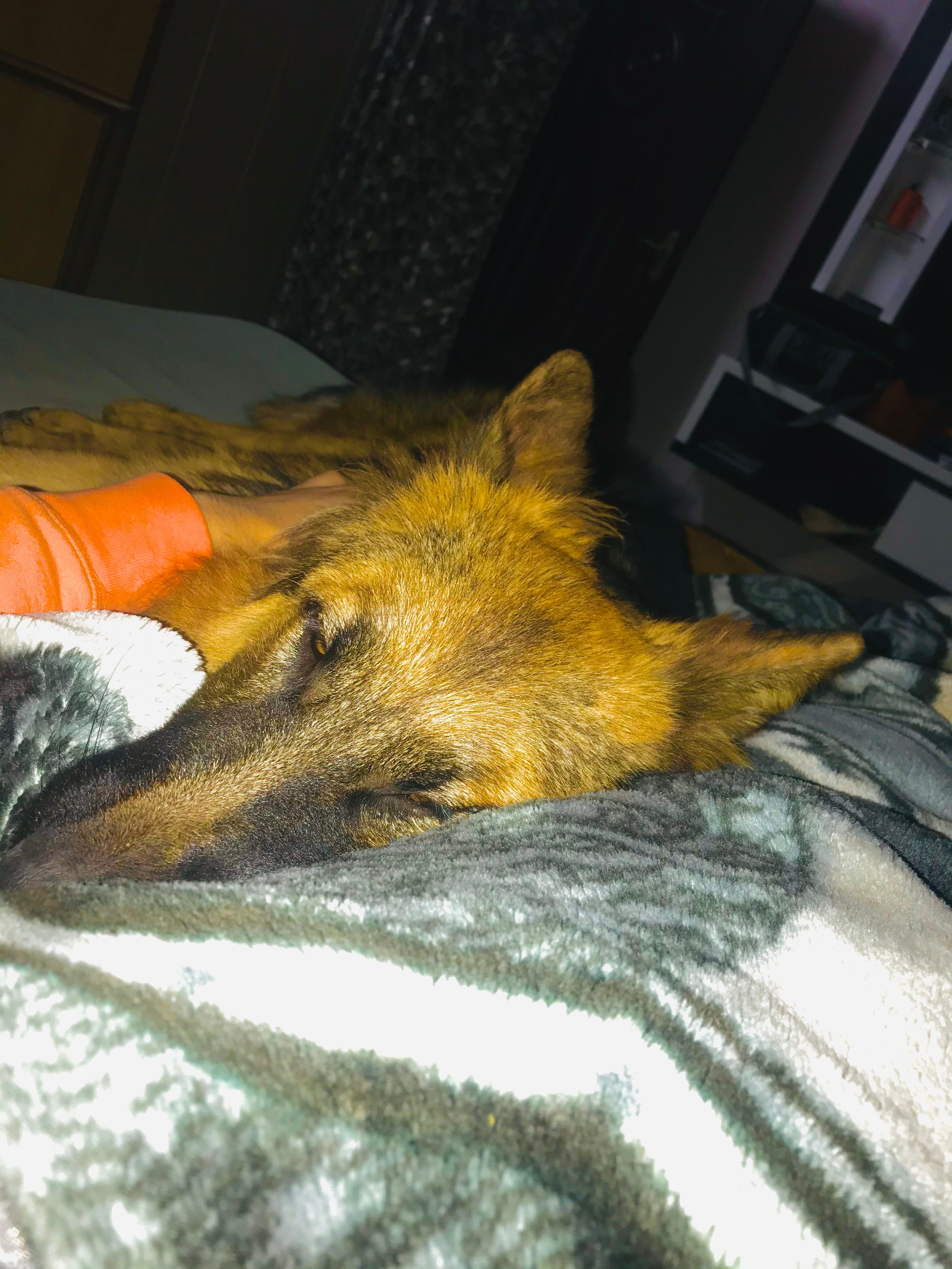 image-13