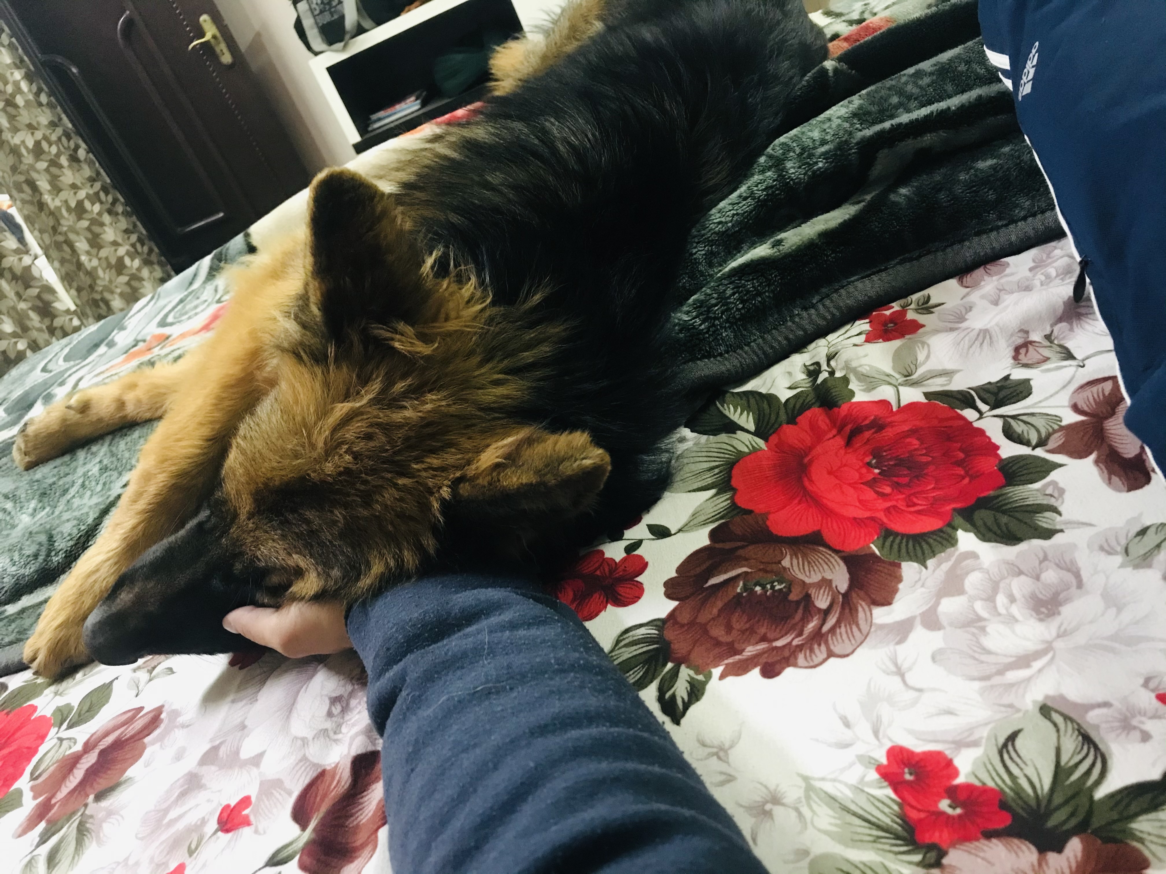 image-14