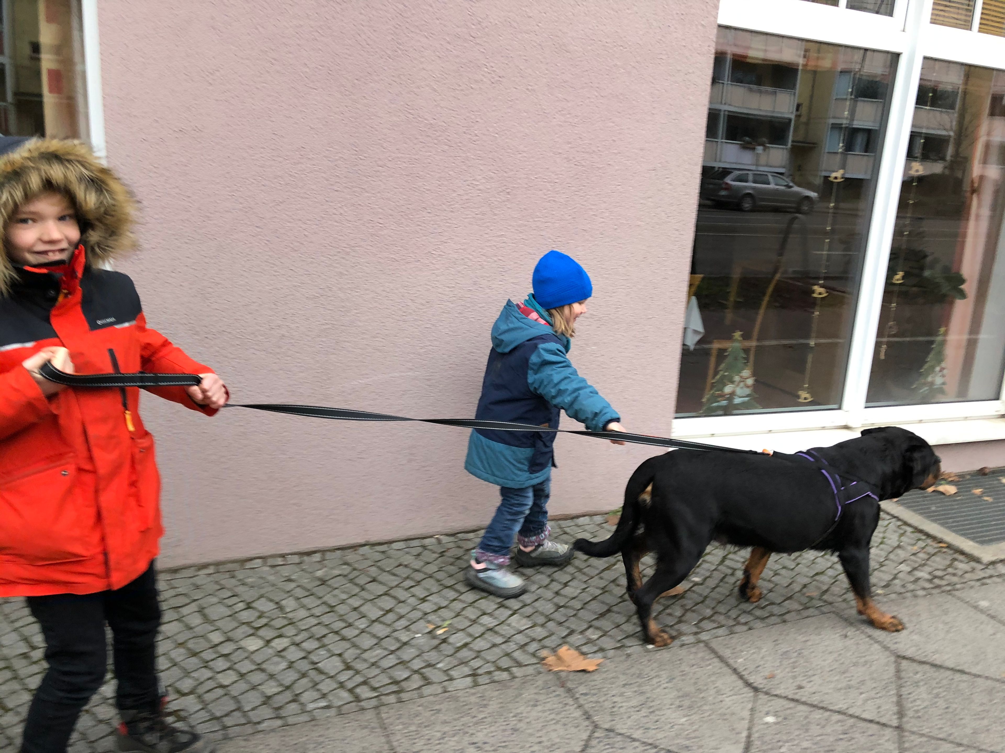 image-9