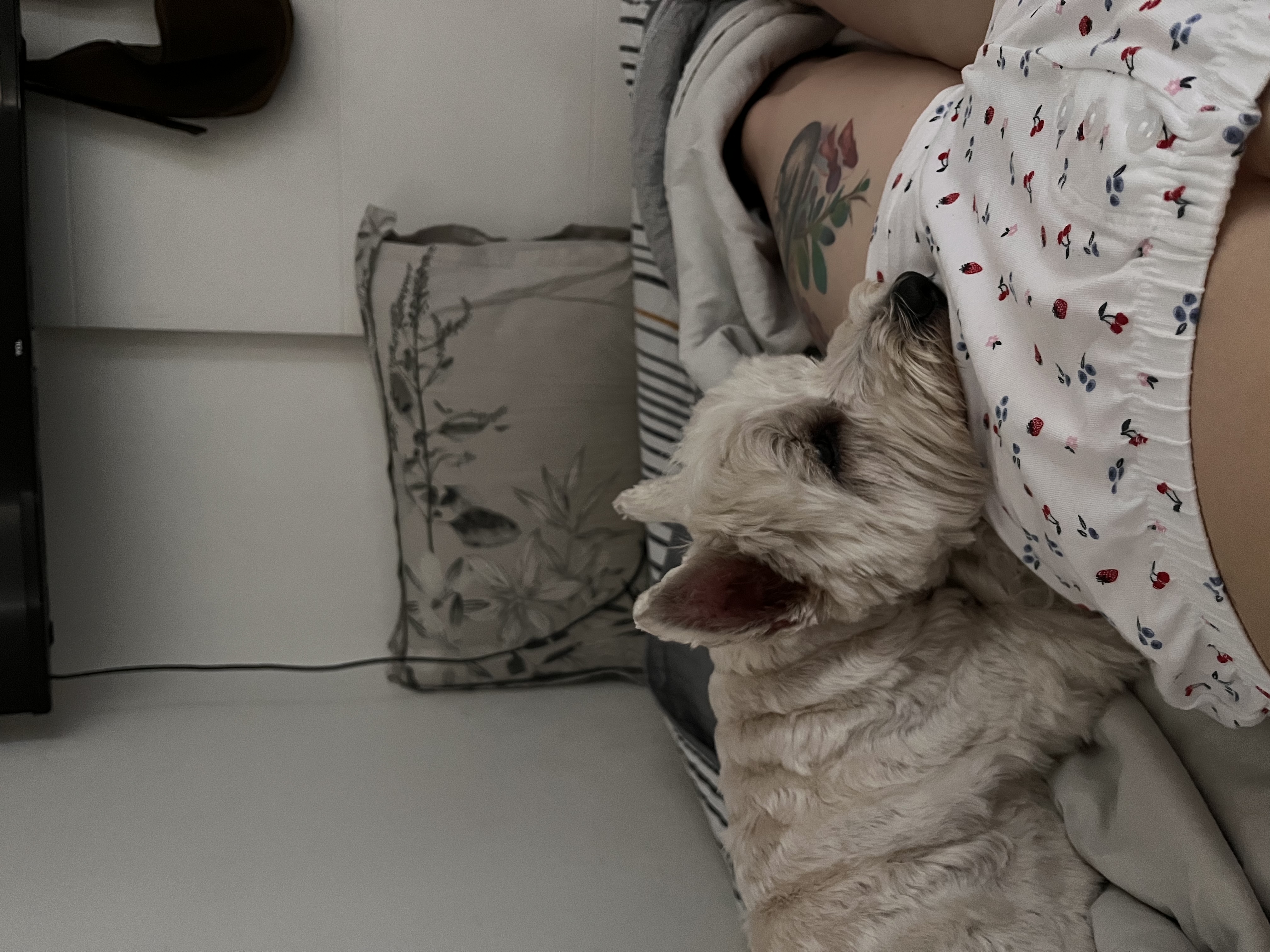 image-6