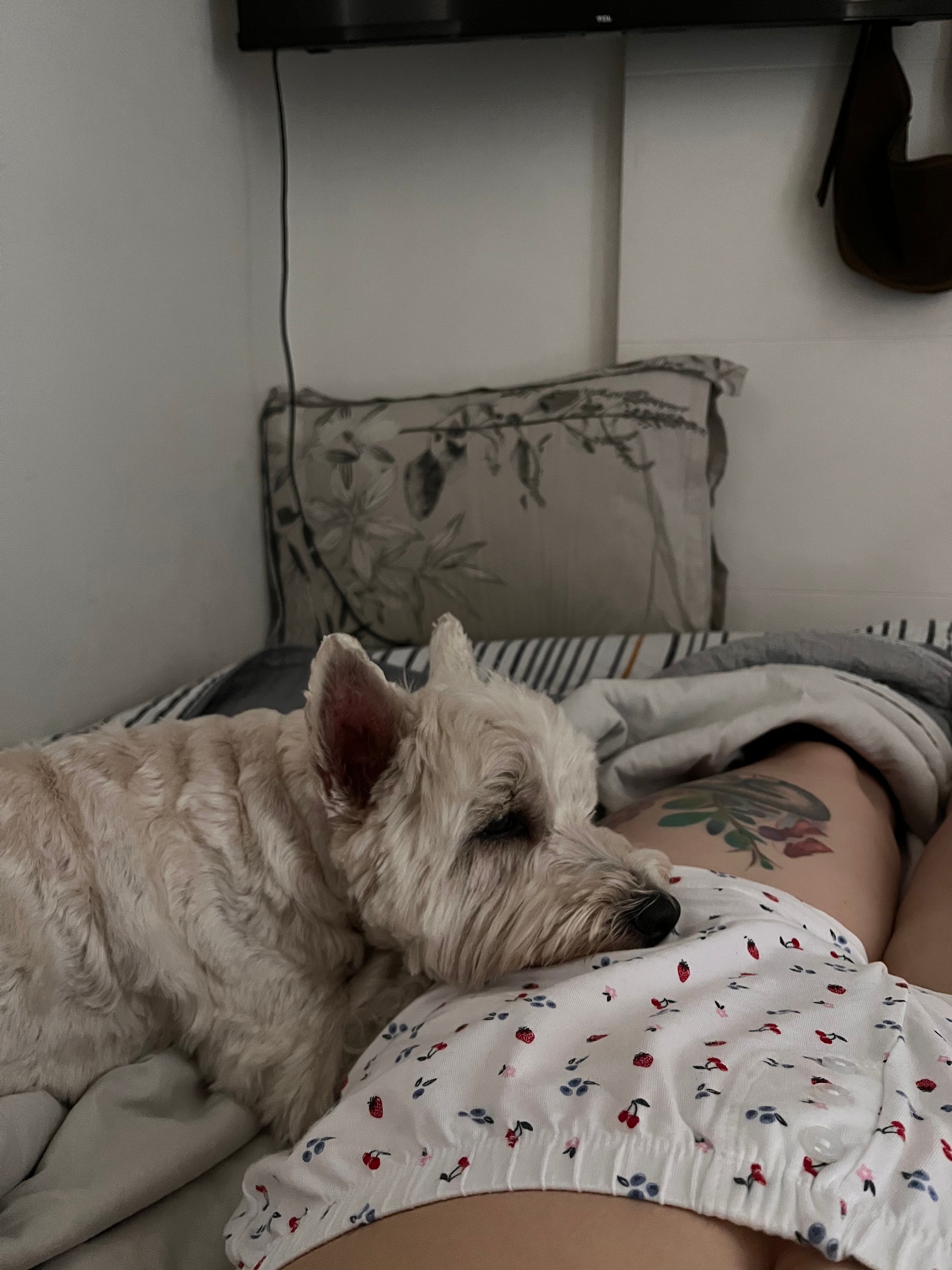 image-6