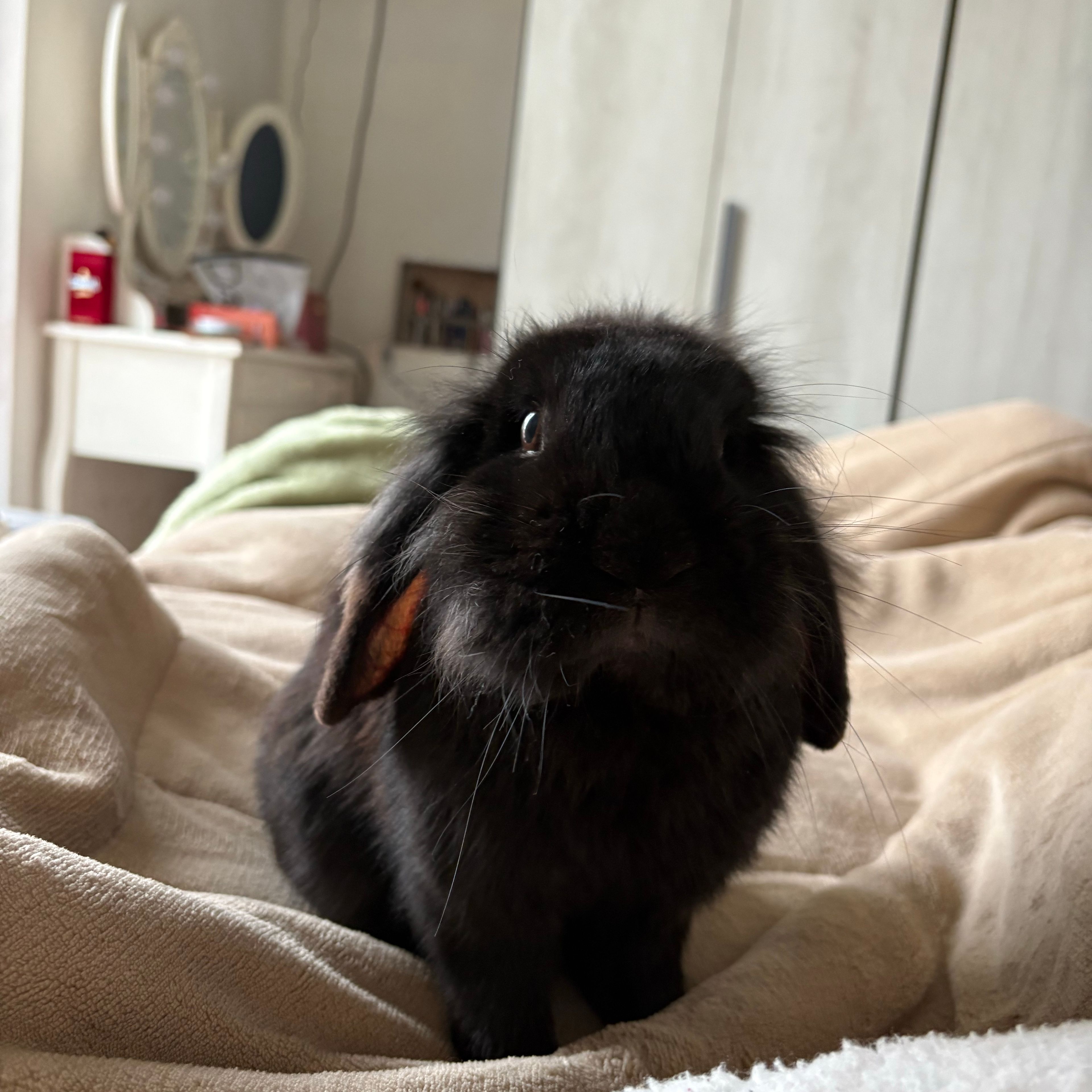 Ppoppo