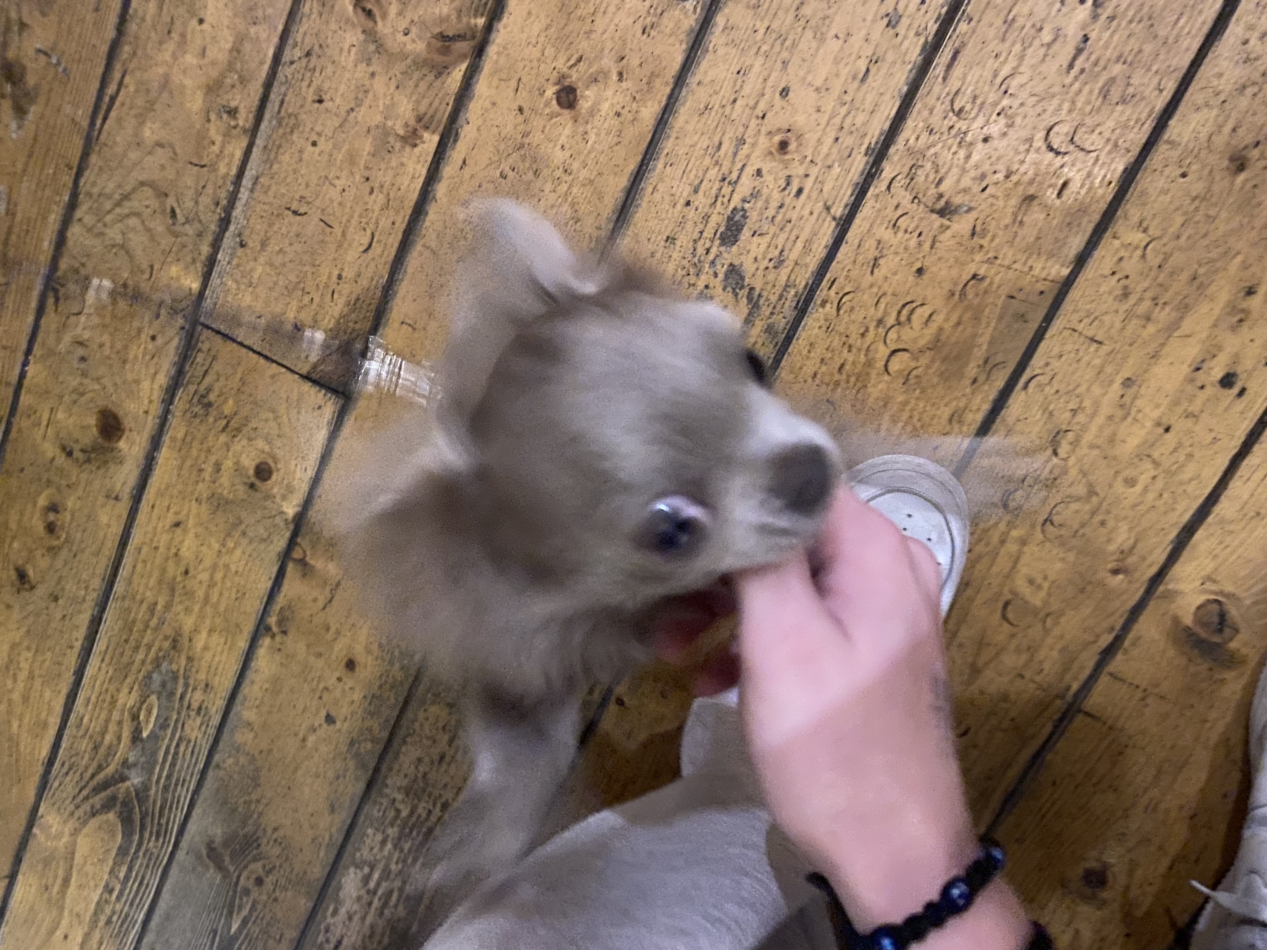 image-8