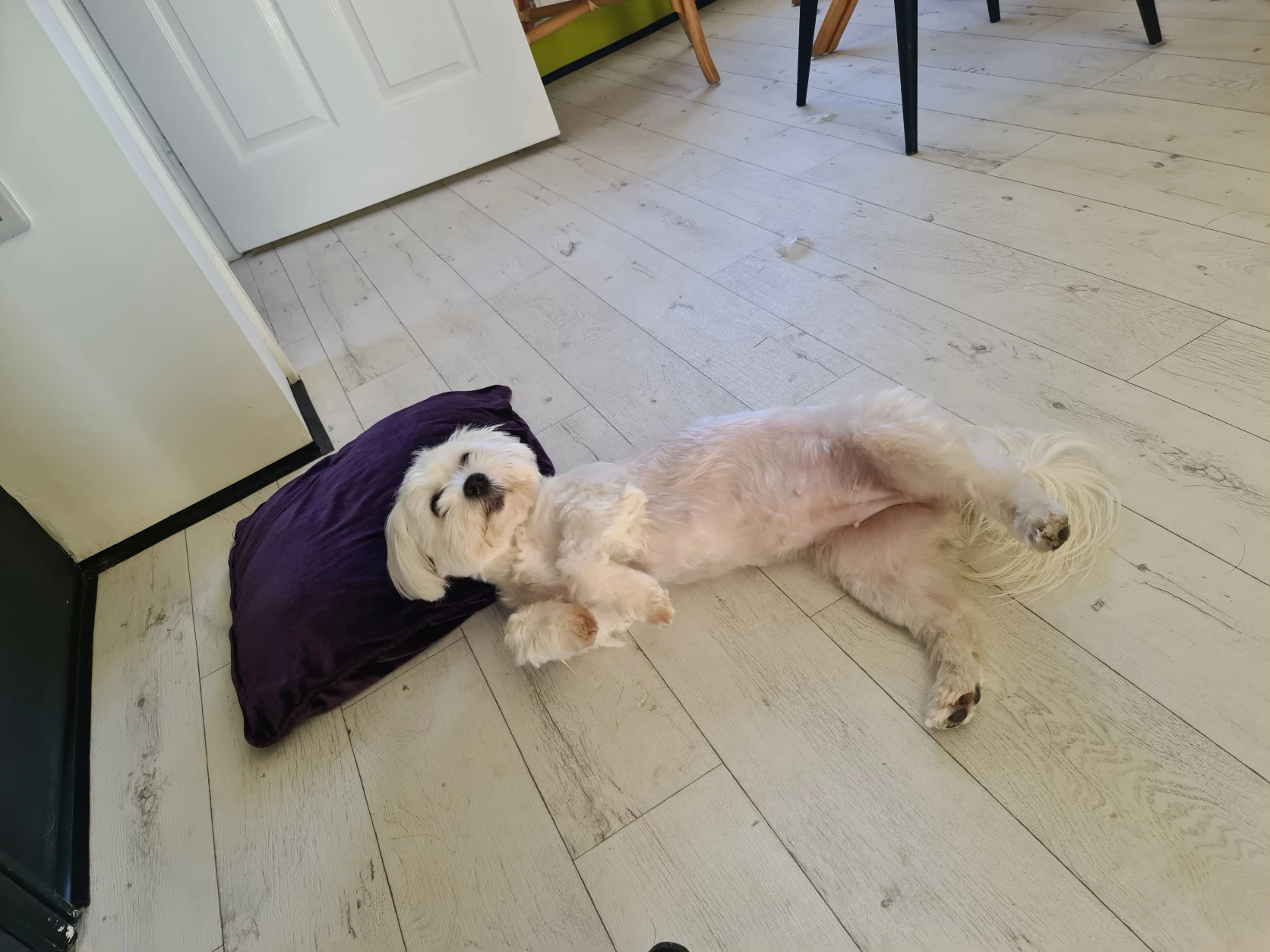 image-11