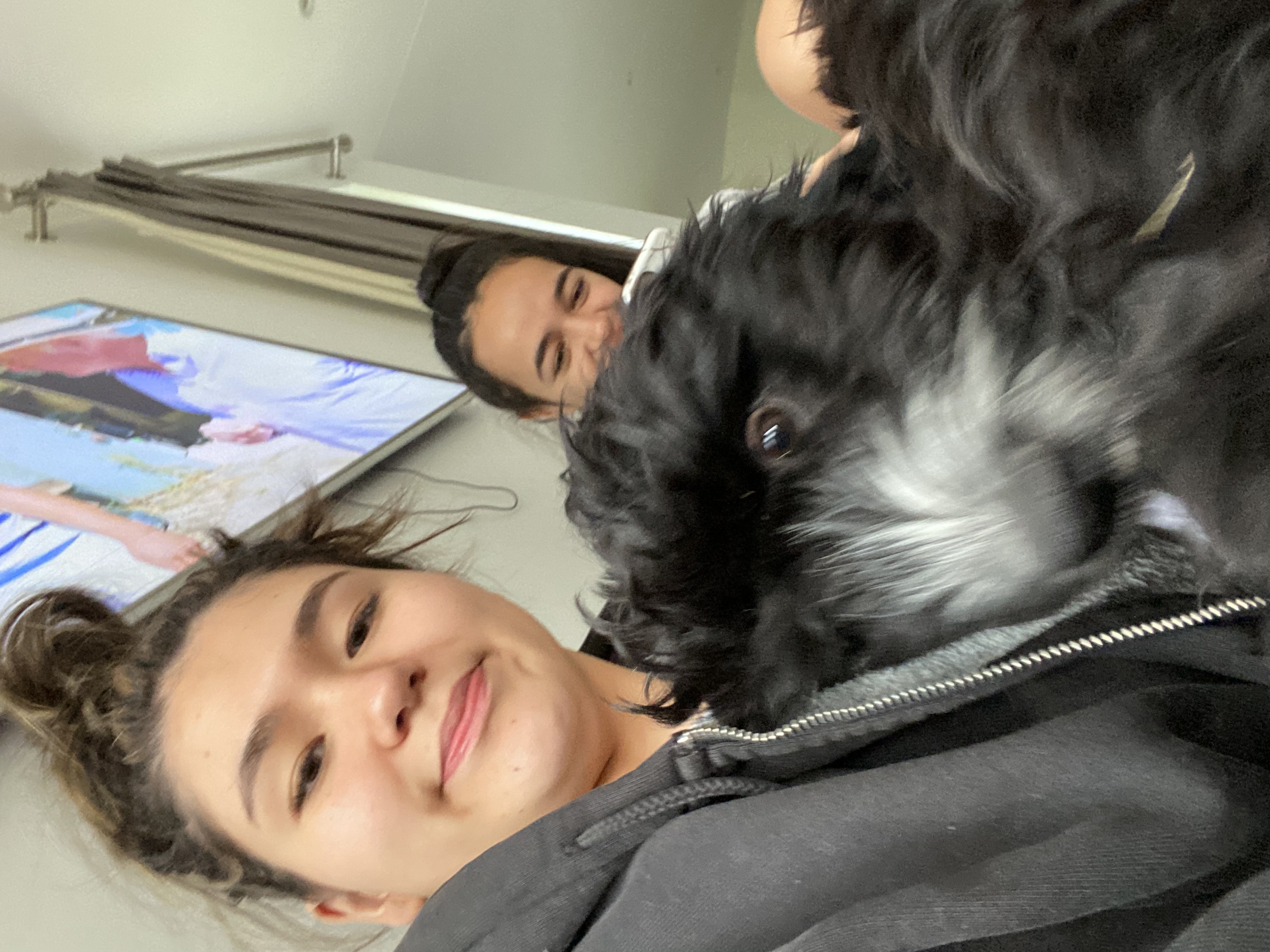 image-8