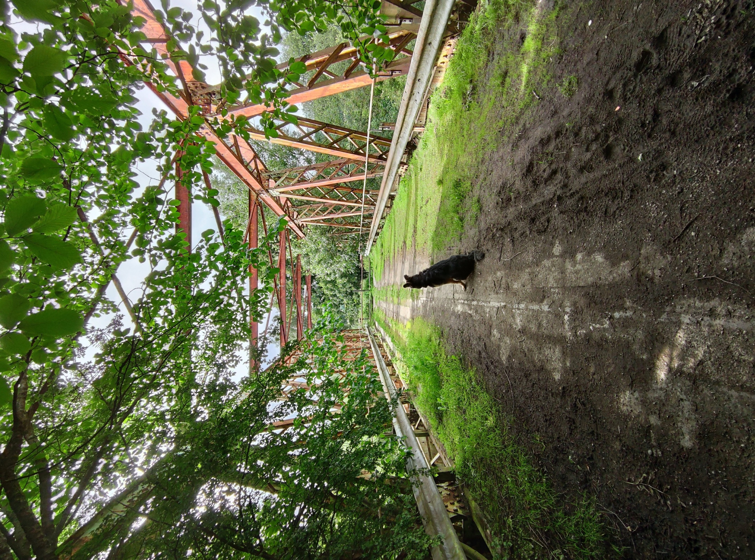 image-14