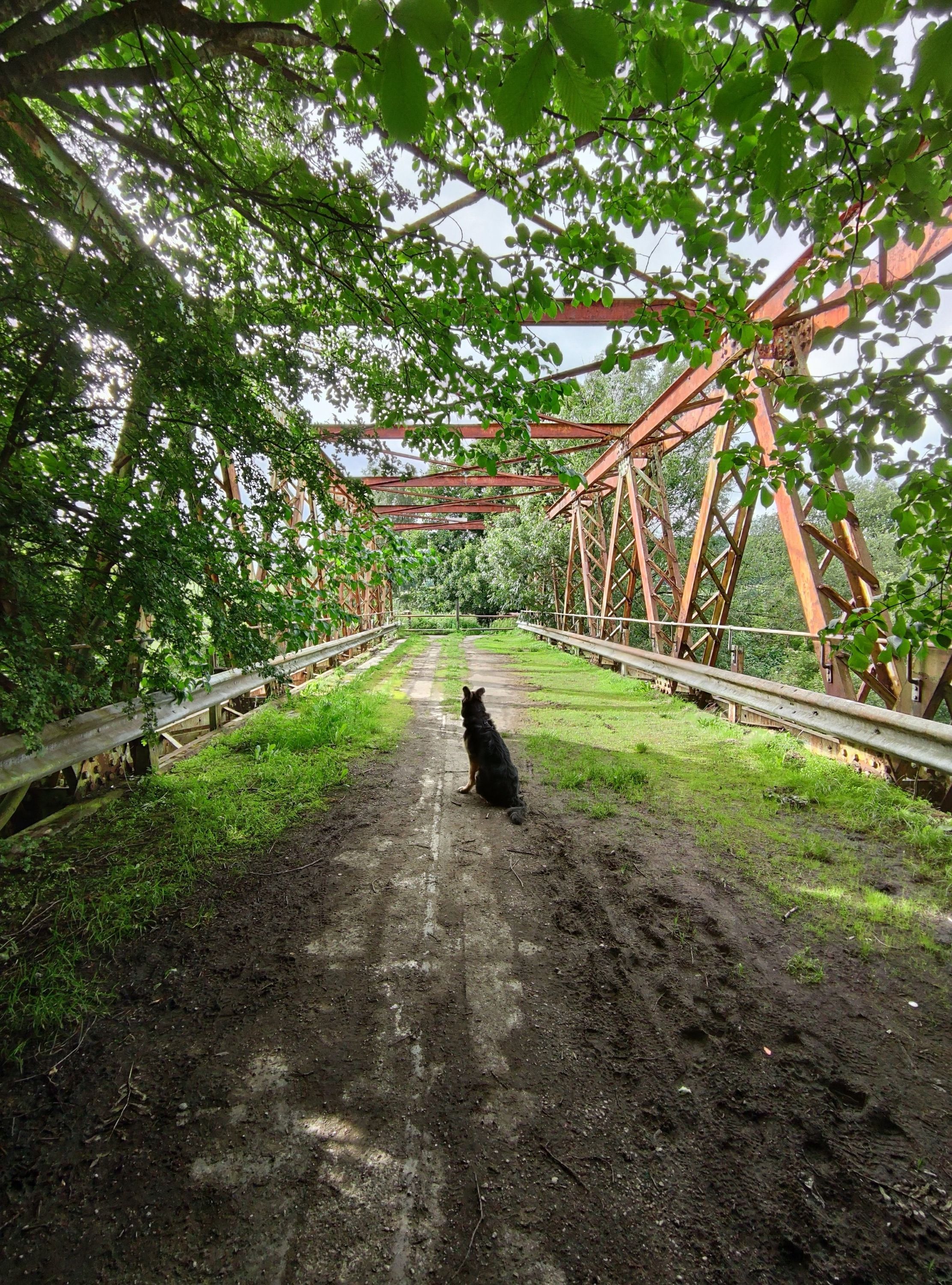 image-14