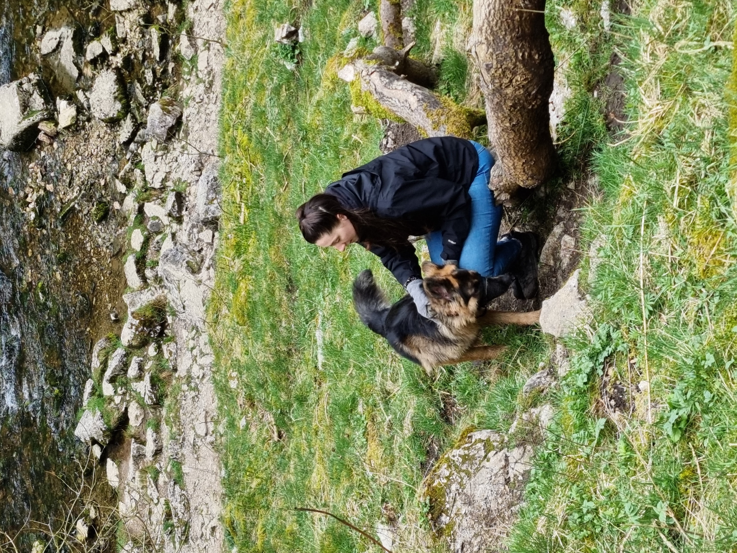 image-4