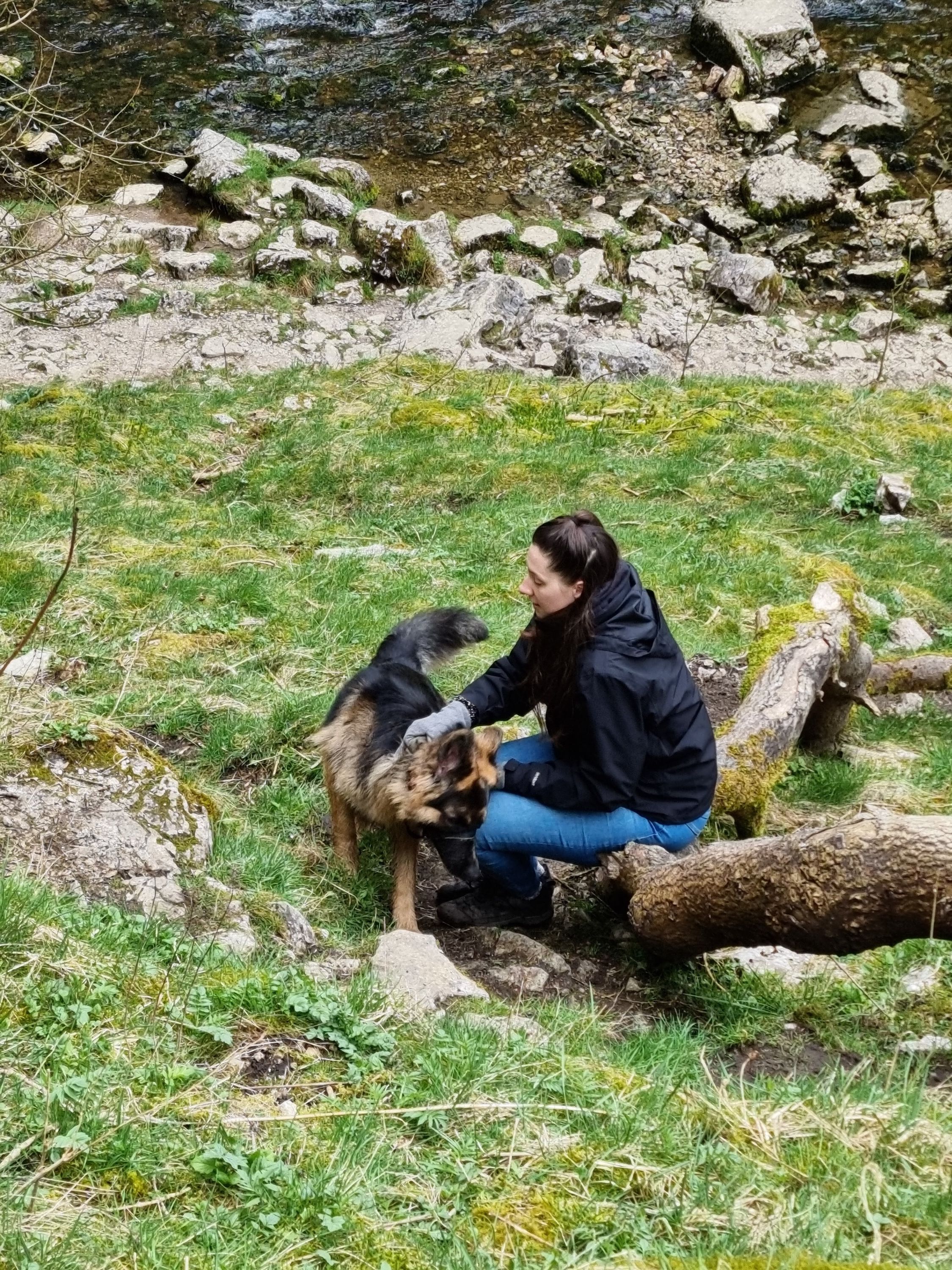 image-4